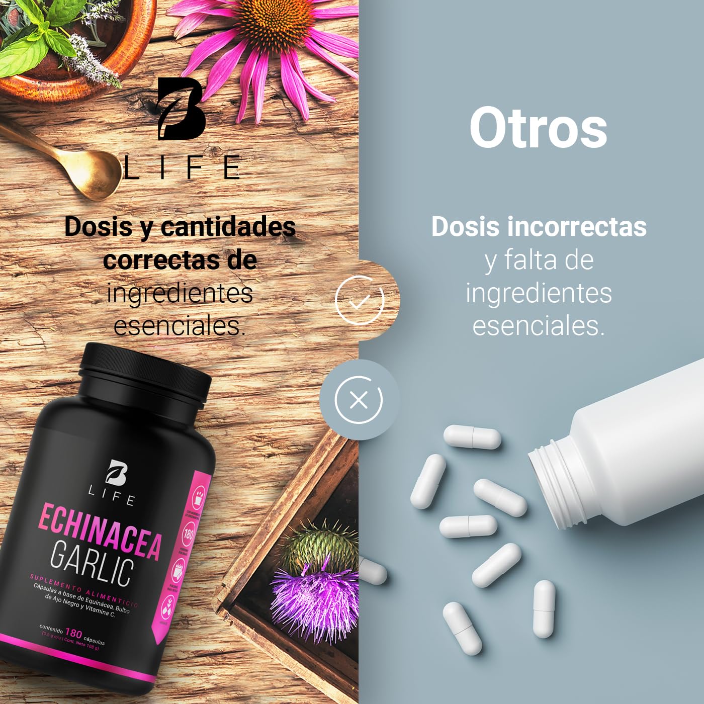 B Life Equinácea de 180 Cápsulas de 600 mg. Adicionado con Ajo Negro y Vitamina C. Ingredientes naturales. Echinacea Garlic.