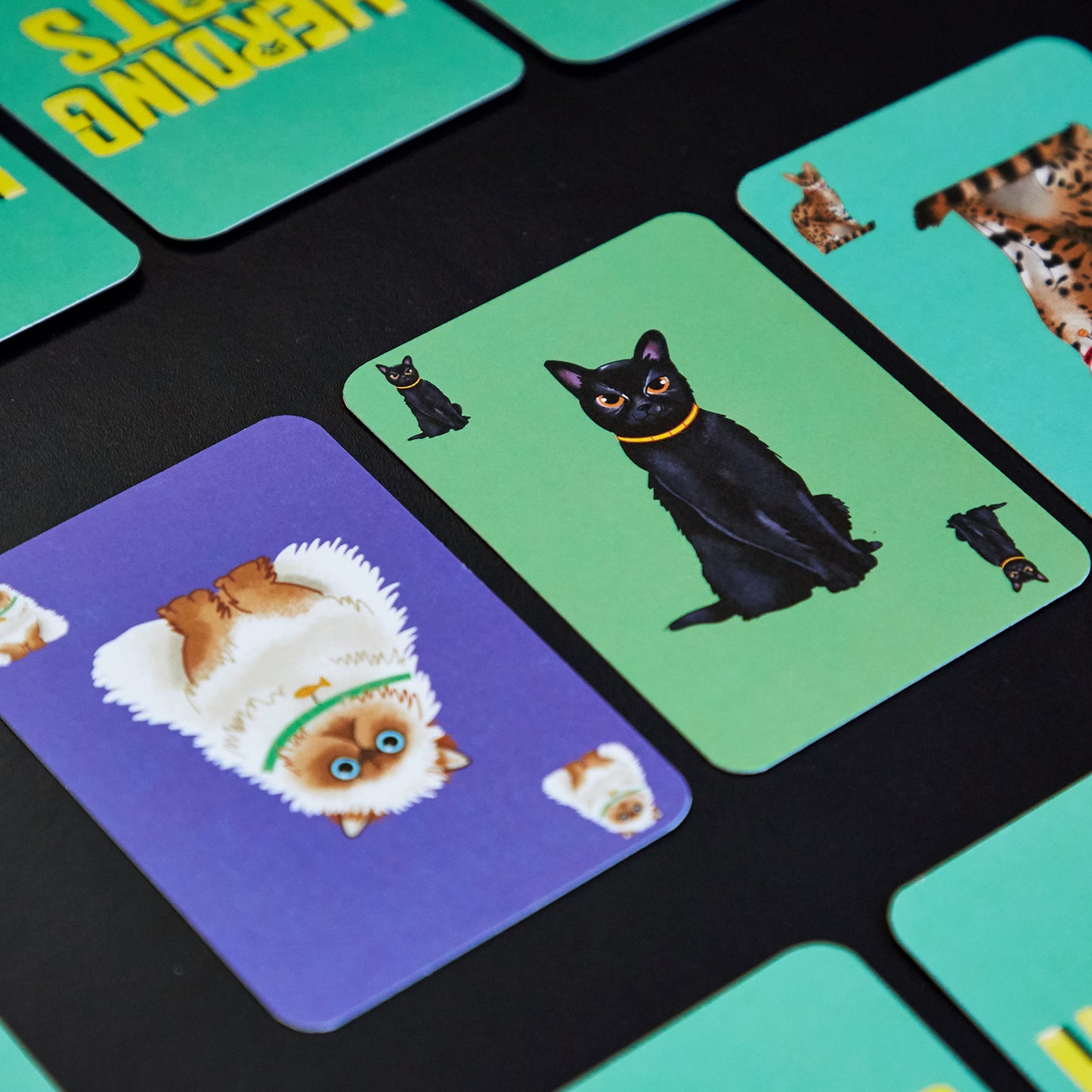 Clarendon Games Gatos de pastoreo
