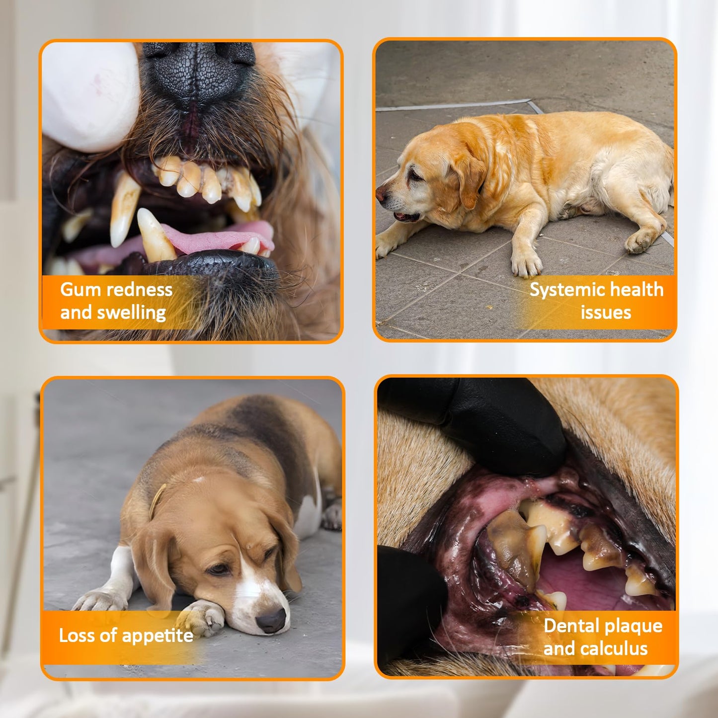 Cepillo de Dientes Eléctrico para Perros Pet Toothbrush Set, con 5 Modos de Limpieza y 4 Cabezas, para Eliminación de Placa y Sarro