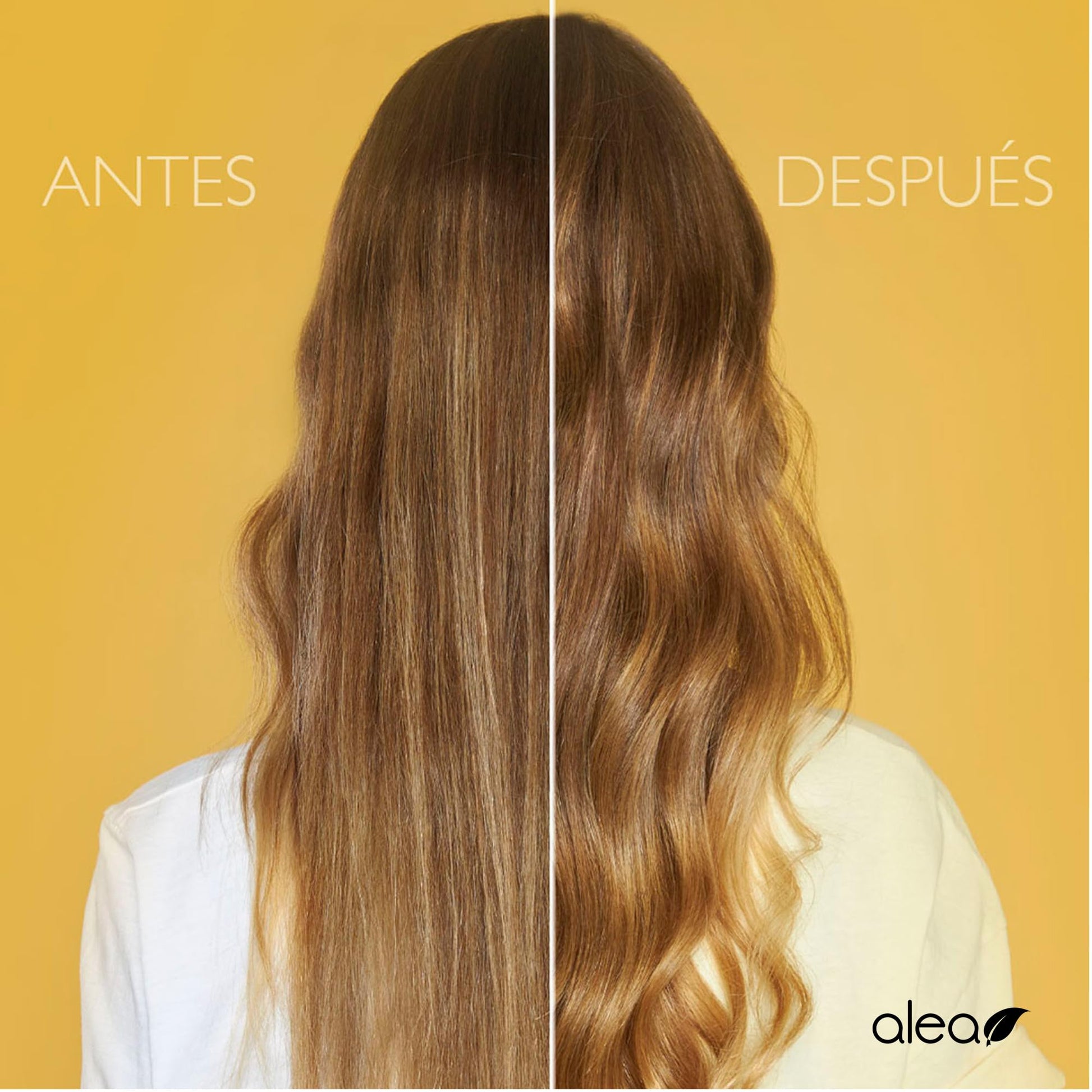Shampoo Alea Argan 18.3oz para Cabello Dañado