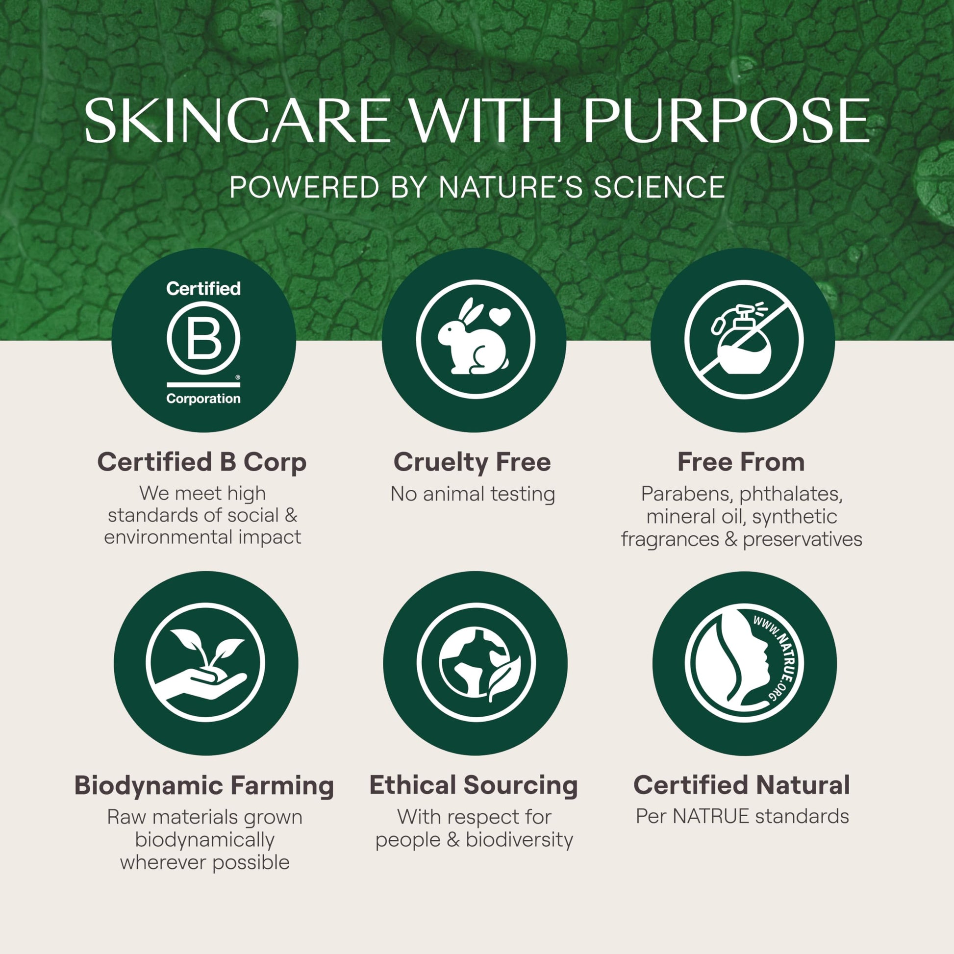 Weleda Skin Food Lip Butter, 0.27 Fluid Ounce