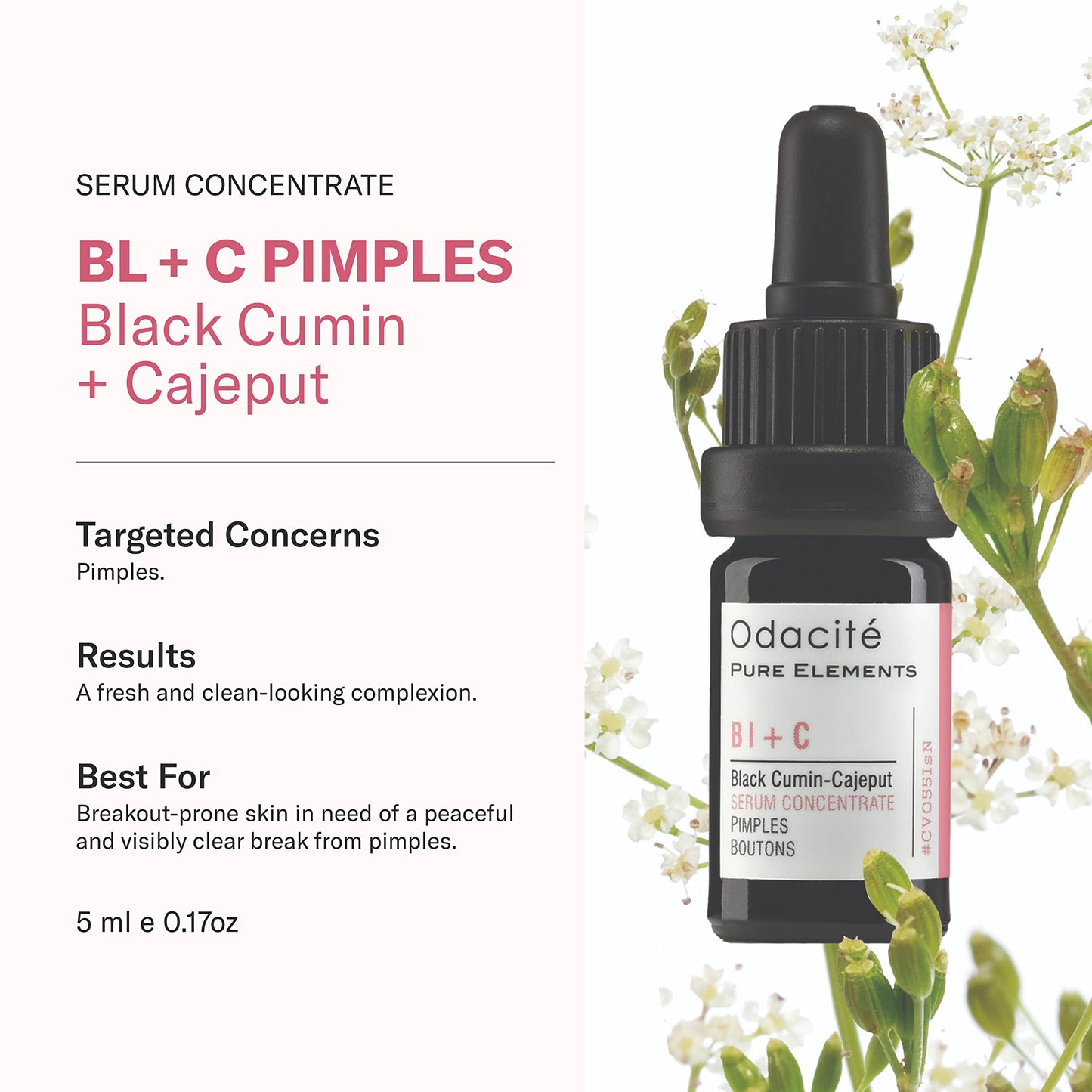 Odacità | Bl+C Pimples Facial Serum Concentrate | Black Cumin & Cajeput | Achieve Blemish-Free Skin | For Oily & Acne-Prone Skin | Natural, Vegan & Cruelty-Free | 5ml