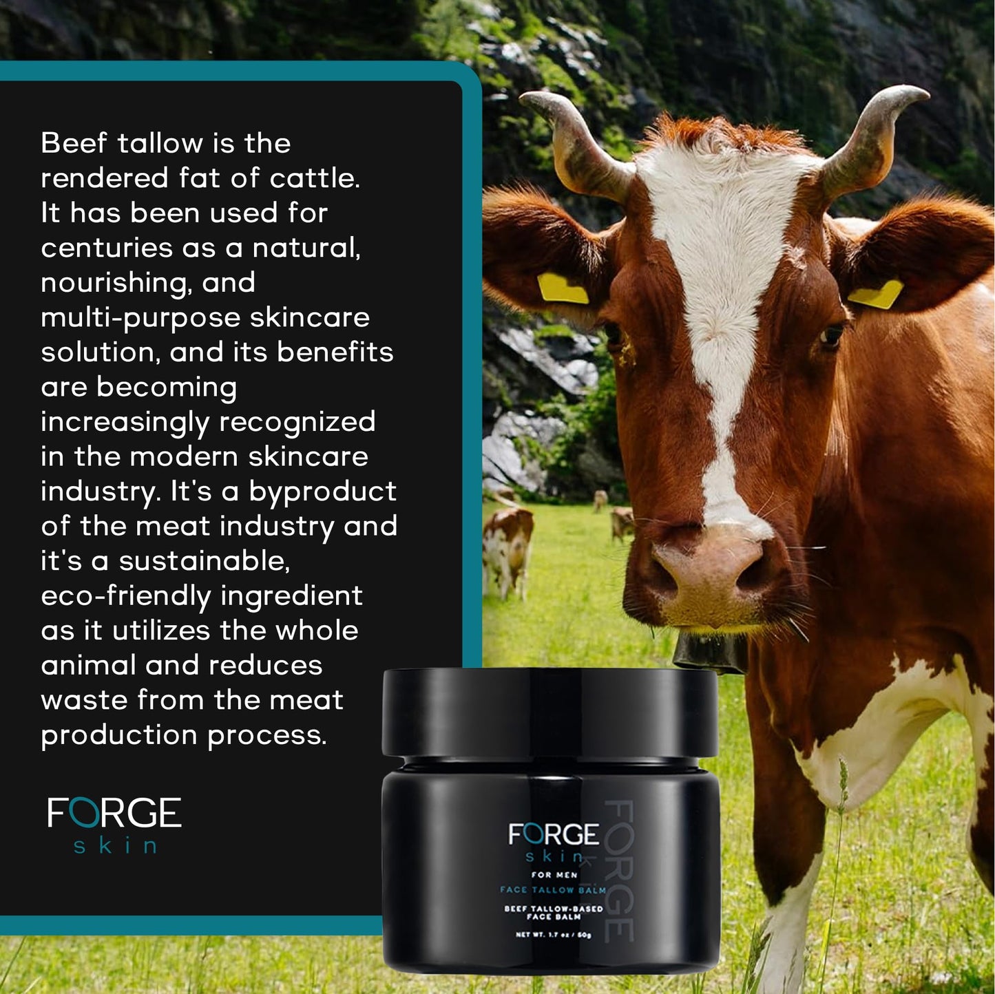 Bálsamo de sebo antiarrugas Forge Men's - 1,77 oz | Crema facial antienvejecimiento - Hidratante facial para arrugas, ojeras y líneas finas | Crema hidratante de día y de noche para hombres