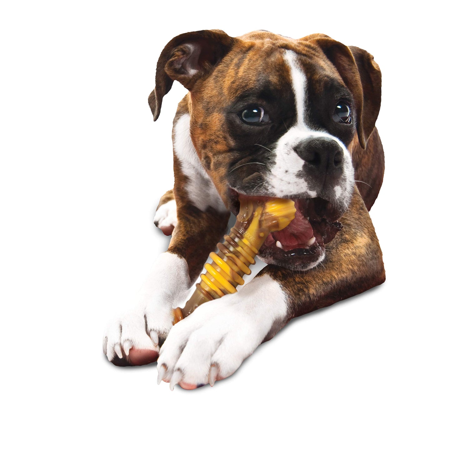 Juguete Masticable para Perros Nylabone Regular Sabor Cheesesteak Tamaño Extra Grande