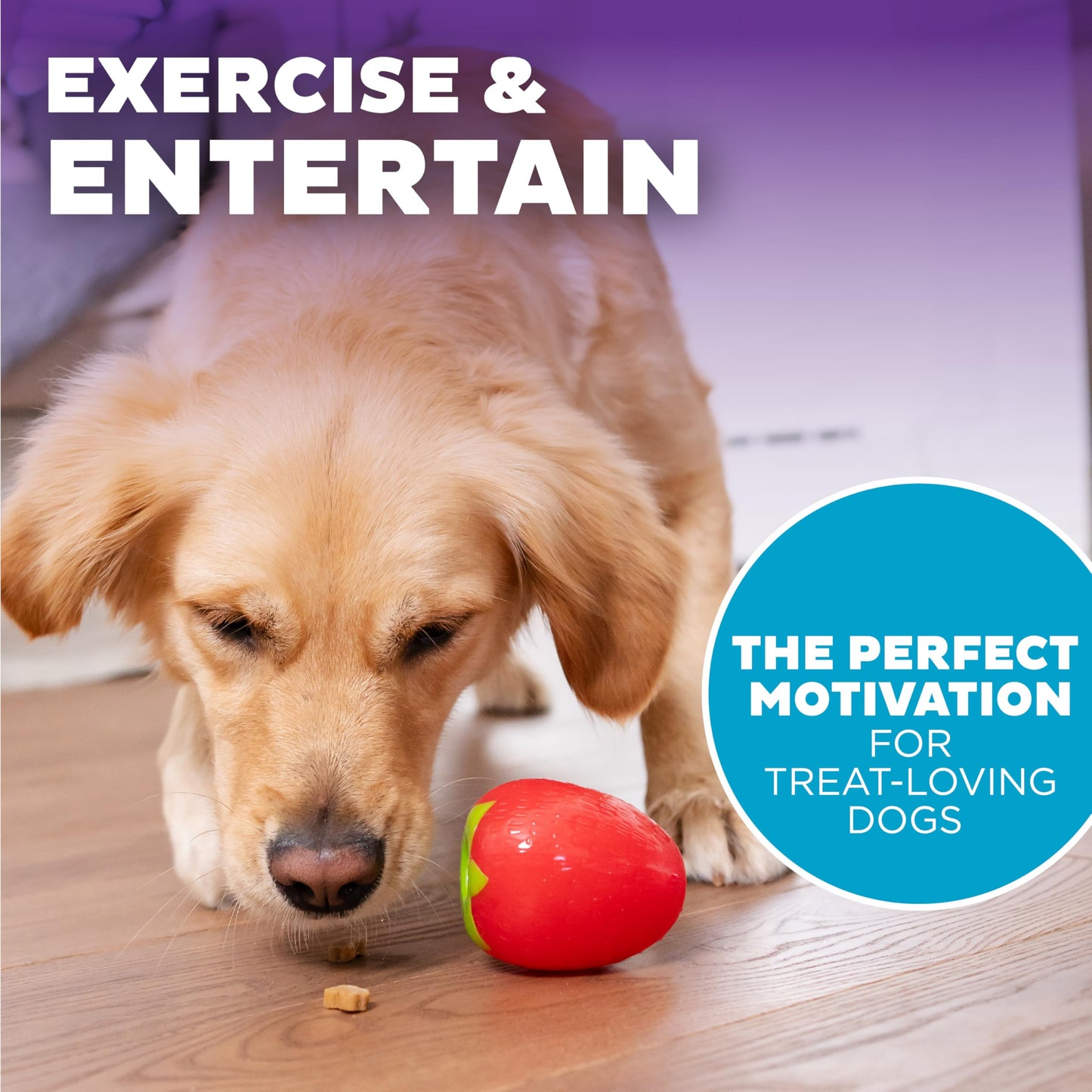 Planet Dog Orbee Tuff Strawberry, Durable Dog Chew-Play Toy with Treat Spot, 100% Guaranteed, Made in The USA, 3-Inch, Red