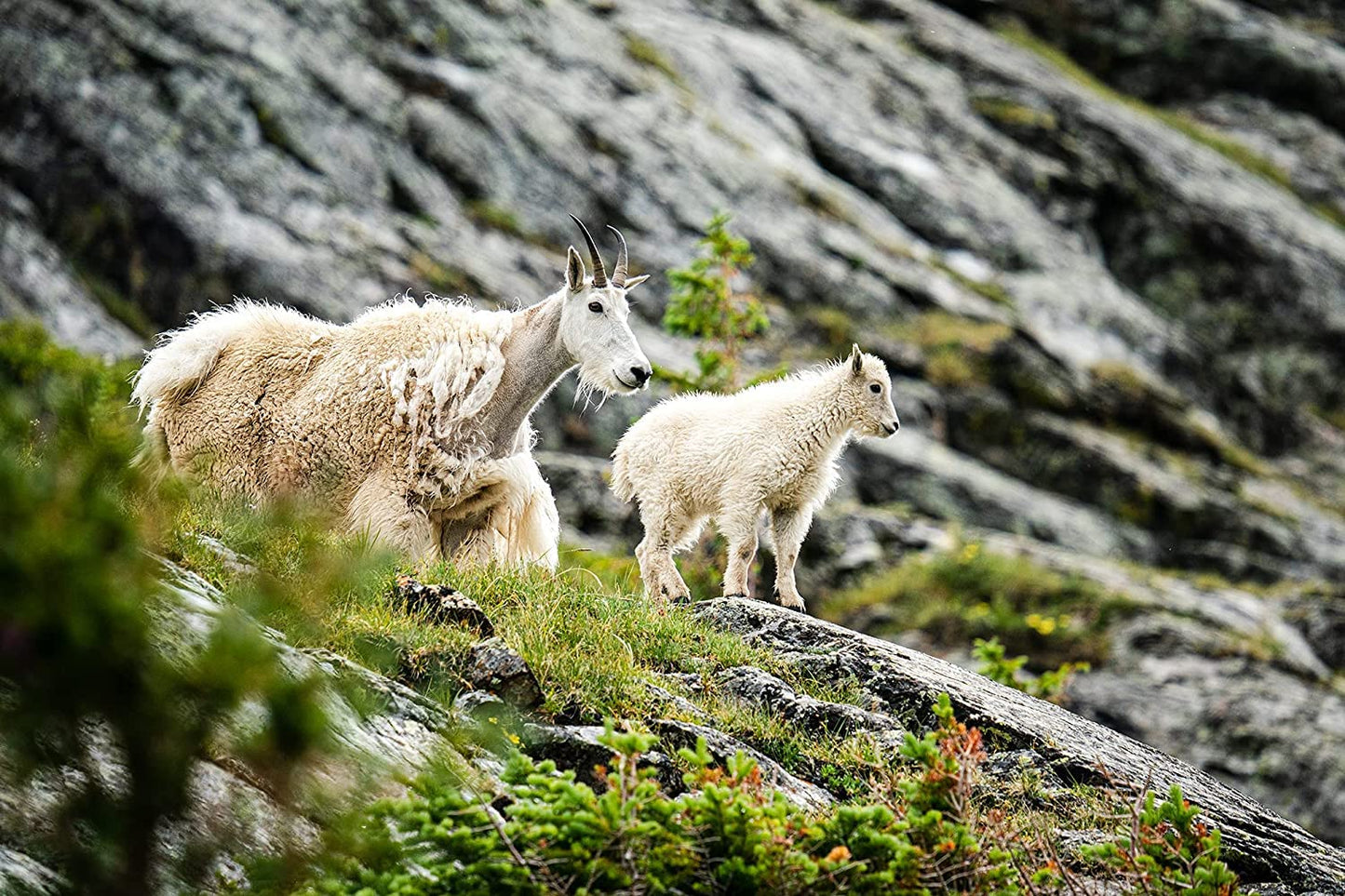 SIGMA Lente 150-600mm F5-6.3 DG DN (S)-SE