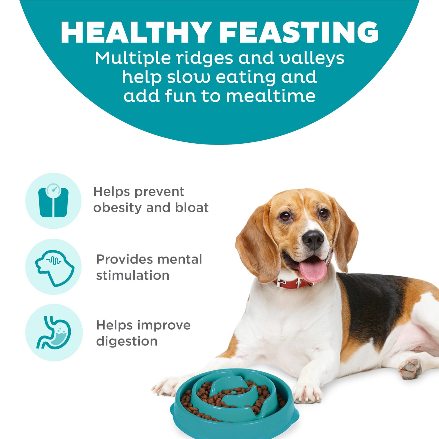 Plato de Comida Lenta Outward Hound Turquesa Mediano para Perros
