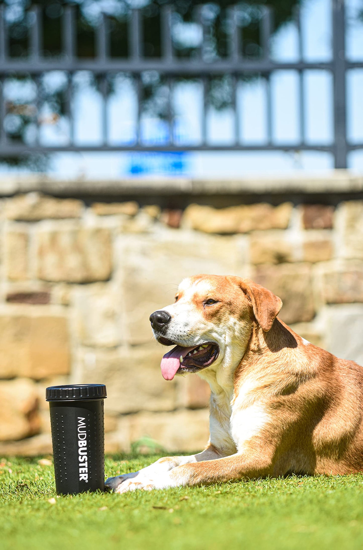 Dexas MudBuster - Limpiador portátil para Patas de Perro, Grande, Negro Mate, edición Especial (PW72025-22WP)
