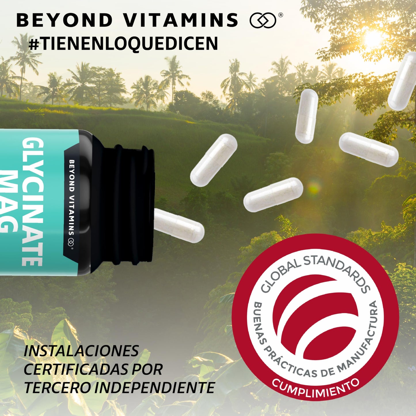 Glicinato de Magnesio Quelado | 20-100% mayor aporte de Magnesio por porción | Fortalecido con Piperina al 95% para mejor biodisponibilidad | 2400mg Glycinate Magnesium Beyond Vitamins | Suplemento Alimenticio Vegano - Ingredientes NON GMO (60 Cápsulas)
