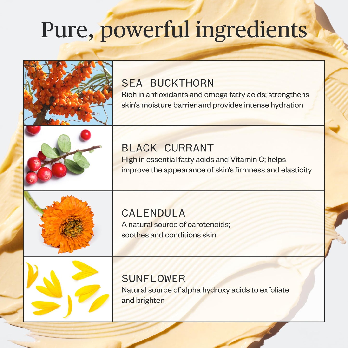 Ursa Major Golden Hour Recovery Cream - Intensely Hydrating yet Fast-Absorbing Natural Face Cream with Black Currant, Calendula and Sea Buckthorn (1.7 fl oz)