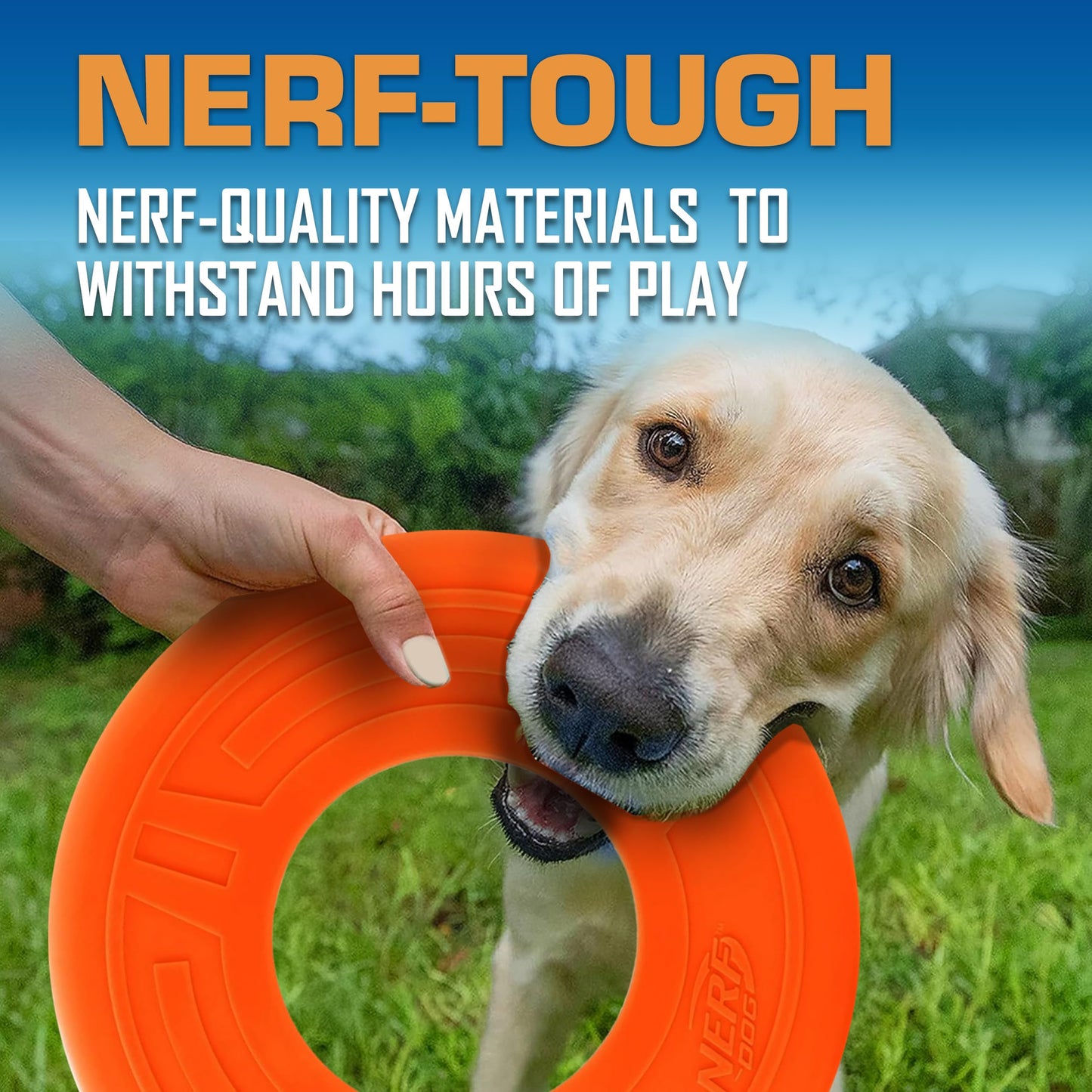 Disco Volador Nerf Dog Naranja 10 Pulgadas Atómico