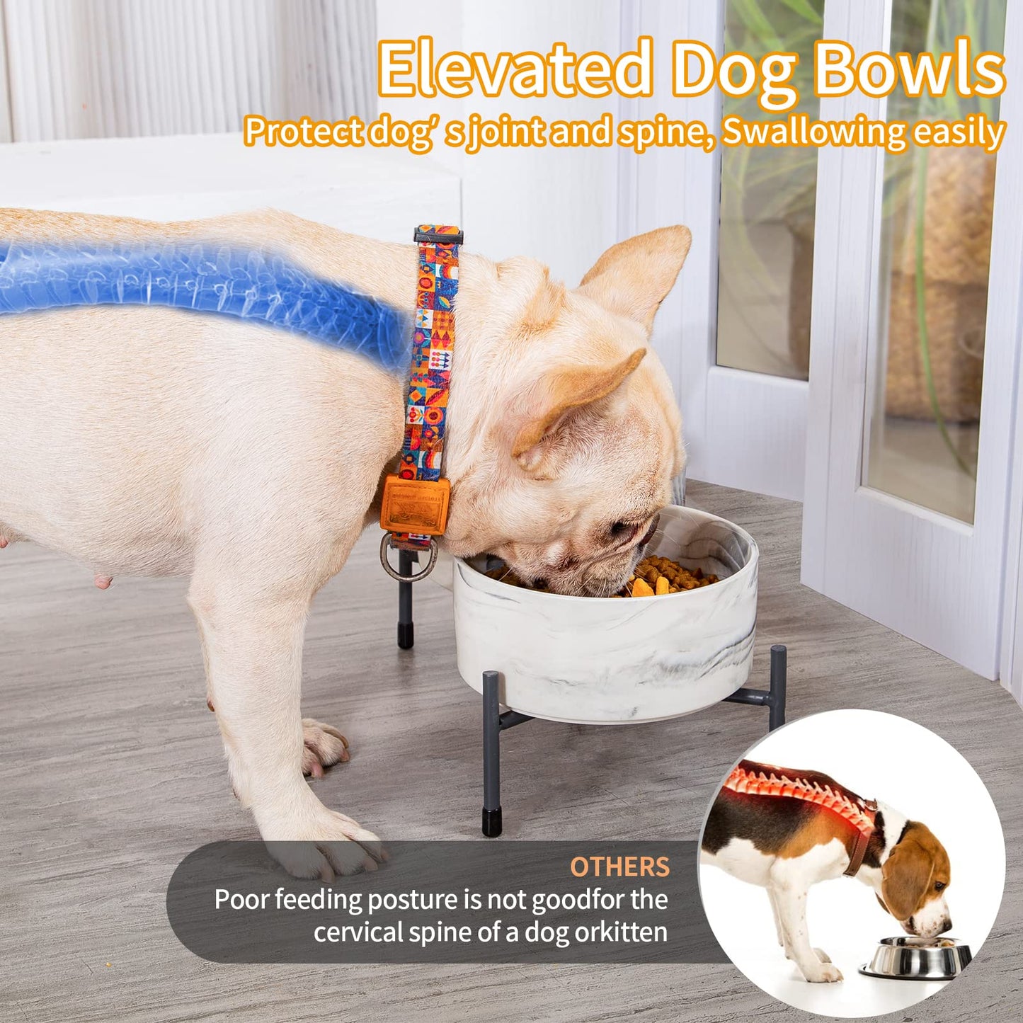 AOMRYOM tazón elevado de cerámica para perros y gatos de 6 '' con soporte de hierro, cuencos modernos elevados de comida y agua para gatos y perros, comedero de porcelana sin derrames, juego de 2