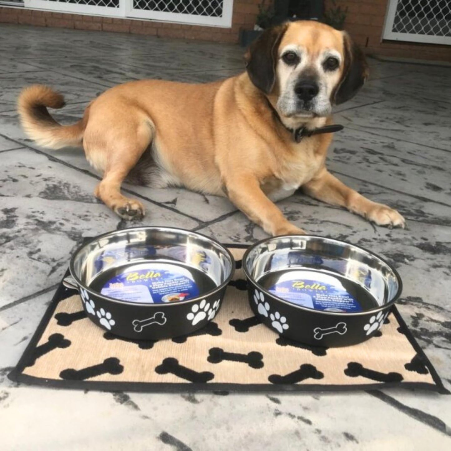 Loving Pets Bella Bowl Dog Bowl, Large, 1.5 Litre, Espresso