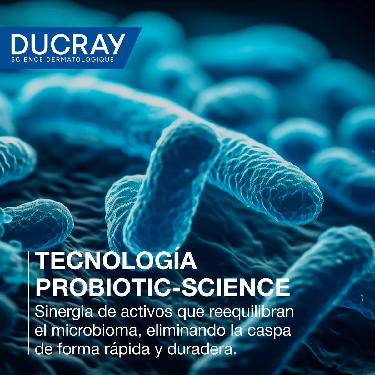 Shampoo Tratante Ducray Caspa Grasa Limpieza Reguladora y Anticaspa