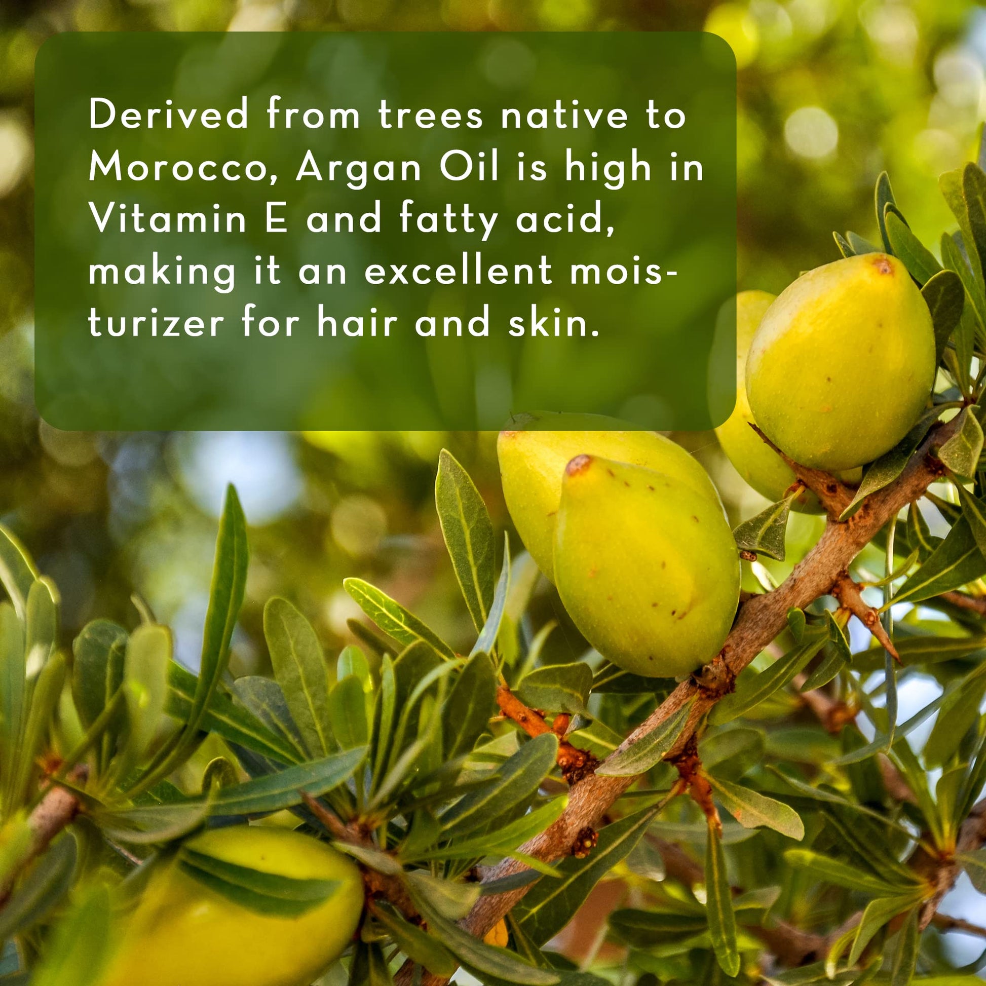 Pure Body Naturals Organic Argan Oil for Skin, Face, Hair & Nails, 4 fl. oz. by Pure Body Naturals