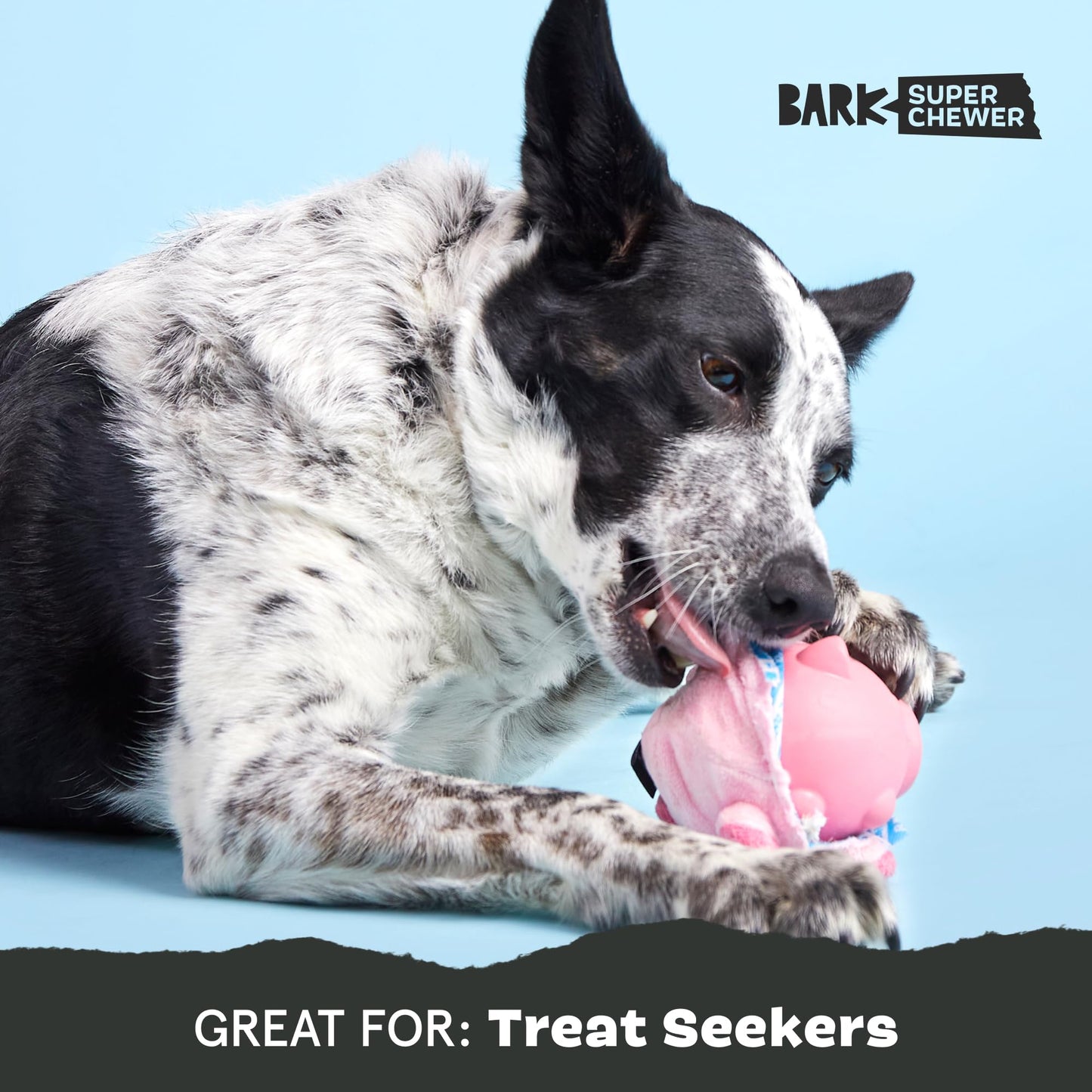 Barkbox Hambone Super Chewer - Juguete masticable duro para masticadores agresivos, cubierta de felpa con núcleo de goma - 2 juguetes en 1 - Juguete dispensador de dos capas para perros grandes
