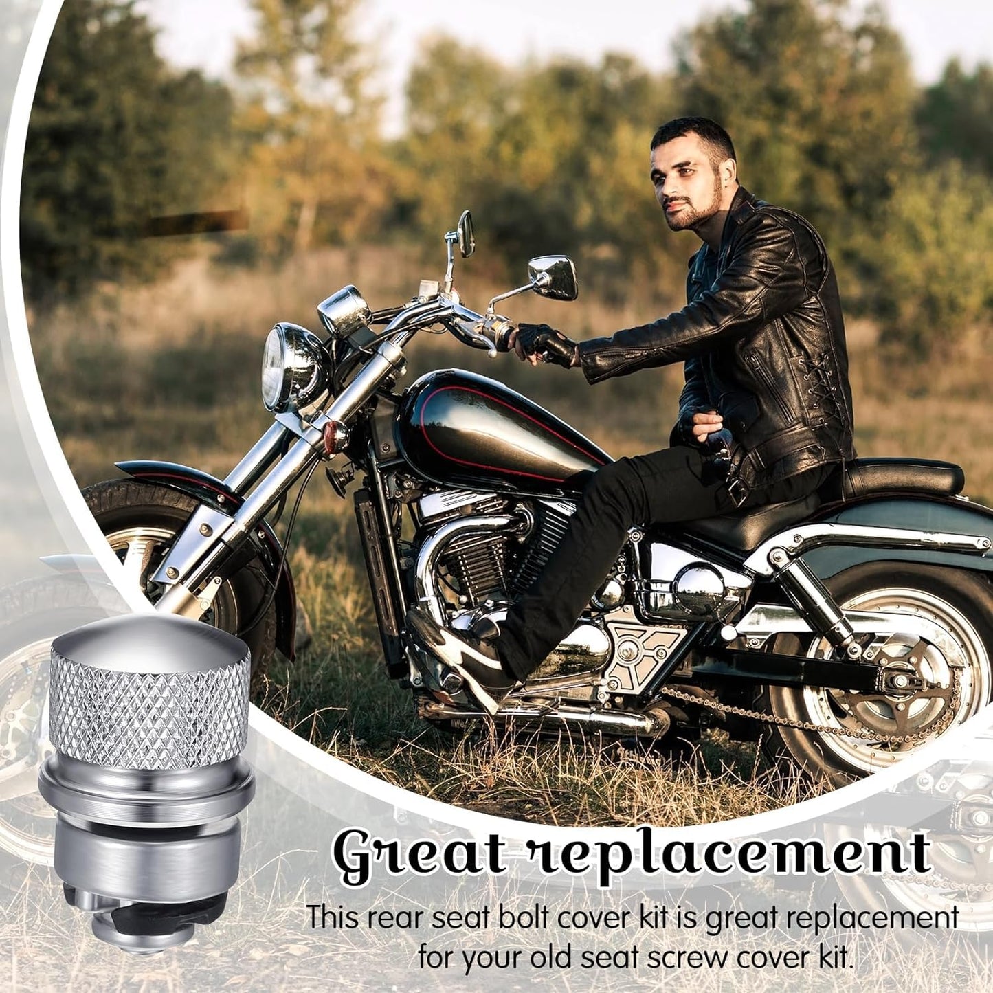 Juego de 2 Tuercas WADY Plata Compatible con Harley-Davidson Sportster y Softail Touring Dyna