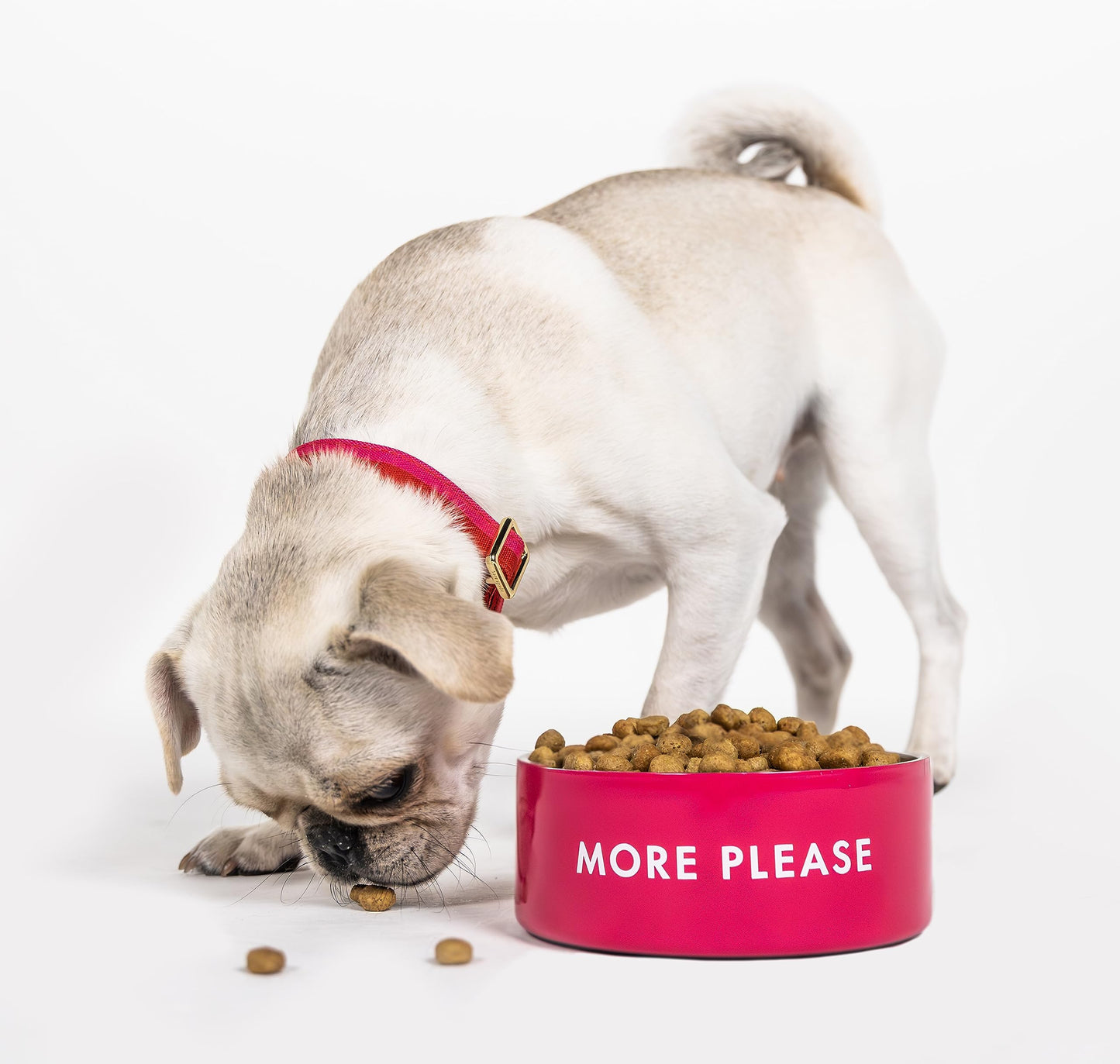 Kate Spade New York - Plato para perro para comida y agua, tazón de acero inoxidable con base antideslizante, capacidad de 2 tazas (16 onzas), tazón pequeño para comida para mascotas o plato de agua para perros, rojo y rosa