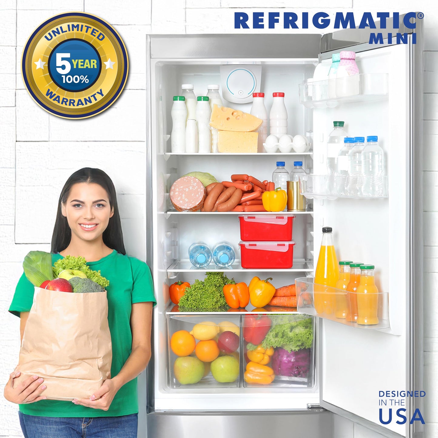 Refrigmatic WS-36300 - Protector de sobretensión electrónico para neveras de hasta 27 pies cúbicos (Paquete de 2)