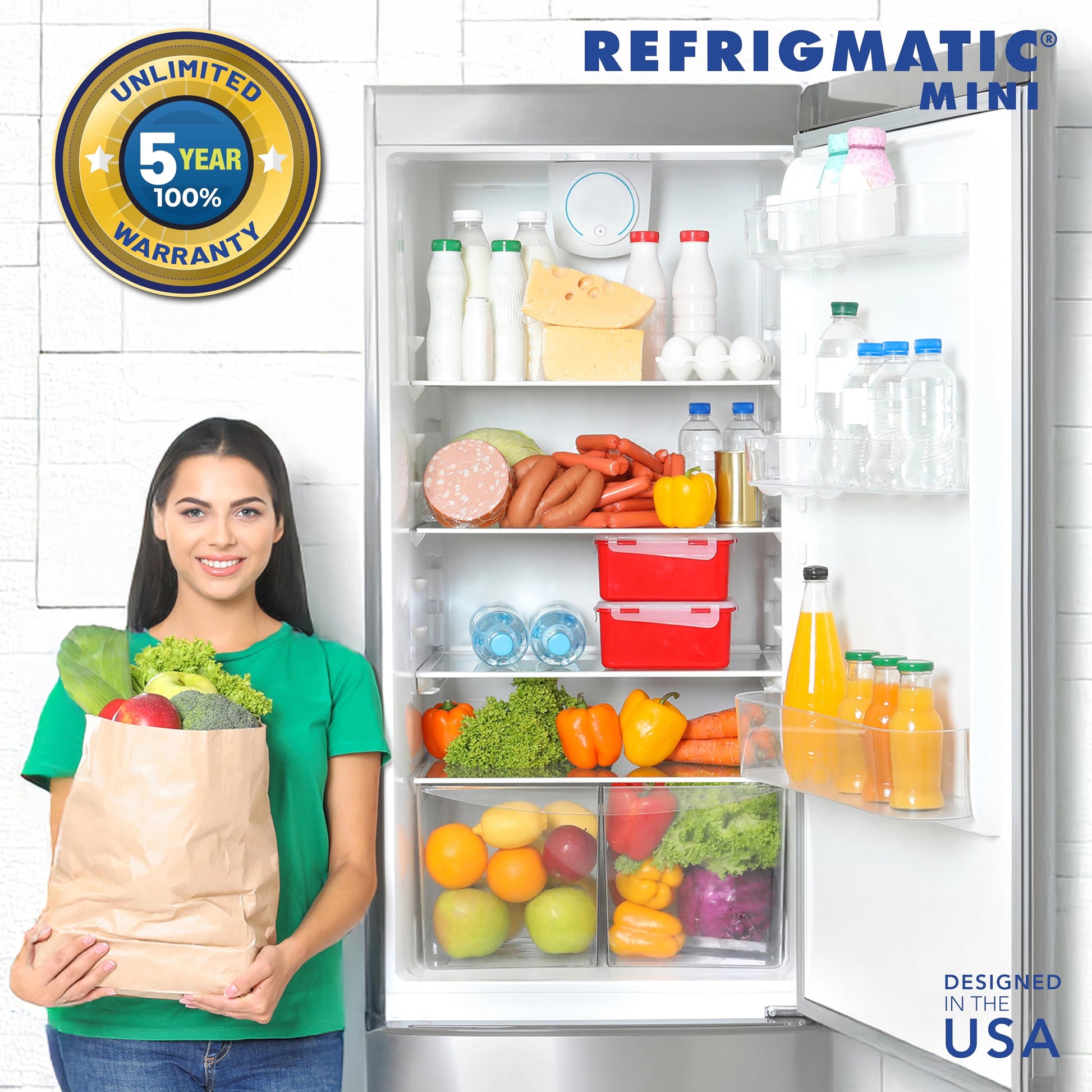 Refrigmatic WS-36300 - Protector de sobretensión electrónico para neveras de hasta 27 pies cúbicos (Paquete de 2)