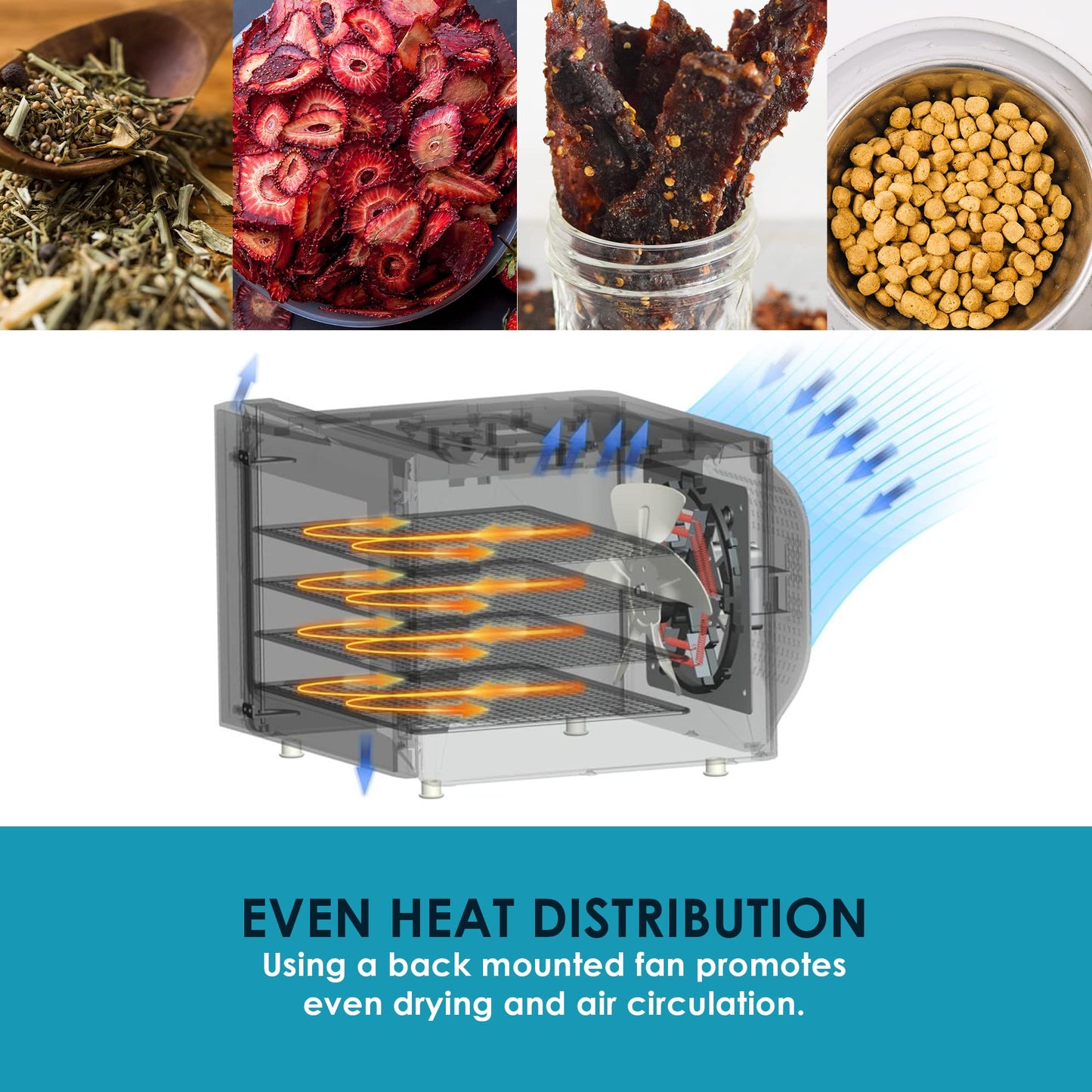 Elite Gourmet Deshidratador de alimentos, bandejas de acero inoxidable, deshidratador de alimentos, controles de temperatura ajustables, hierbas cecas, frutas, verduras y aperitivos