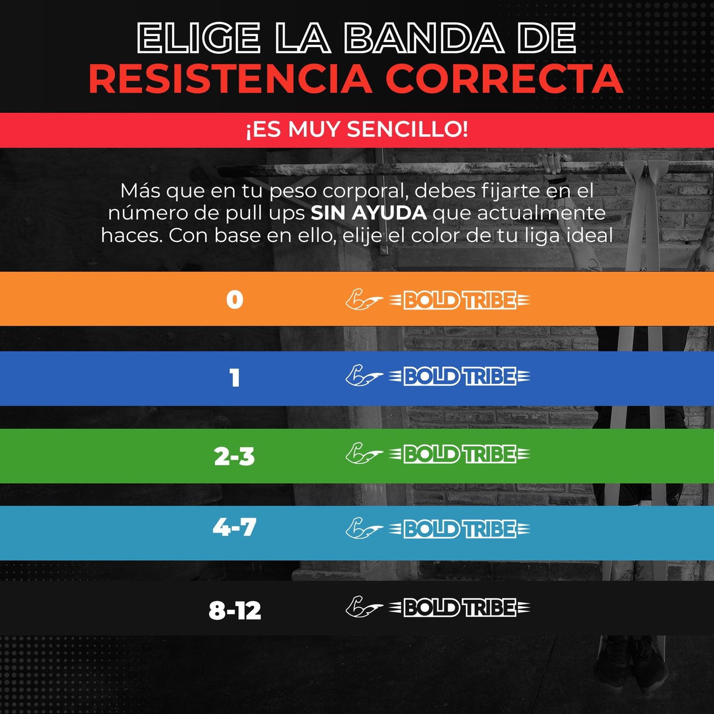 BOLD TRIBE Liga de Resistencia Verde No. 4 - Banda Elástica de 22-56 kg - Bandas de Resistencia para Ejercicio - Cross Training, Calistenia y Entrenamiento Funcional - Gym en Casa
