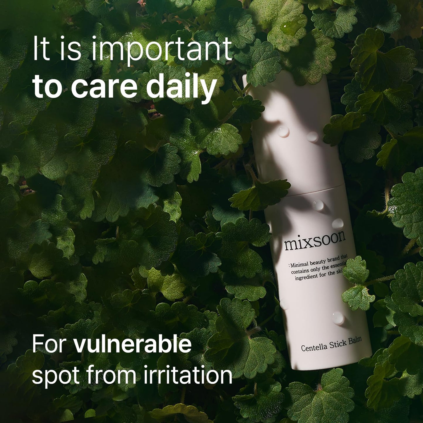 Bálsamo En Barra mixsoon Centella 11.5G