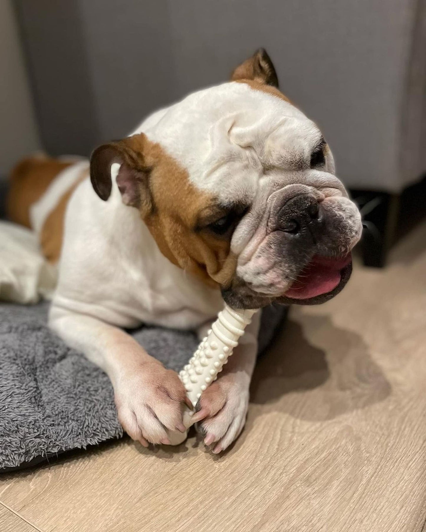 Juguete Masticable para Perros Nylabone Sabor Pollo Dura Chew Souper