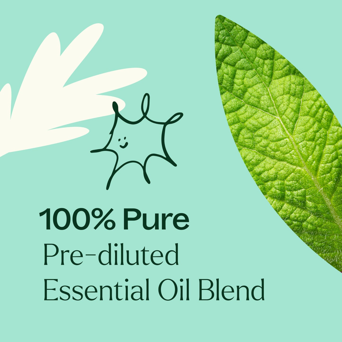 Aceite en Roll on Plant Therapy Tension 10ml