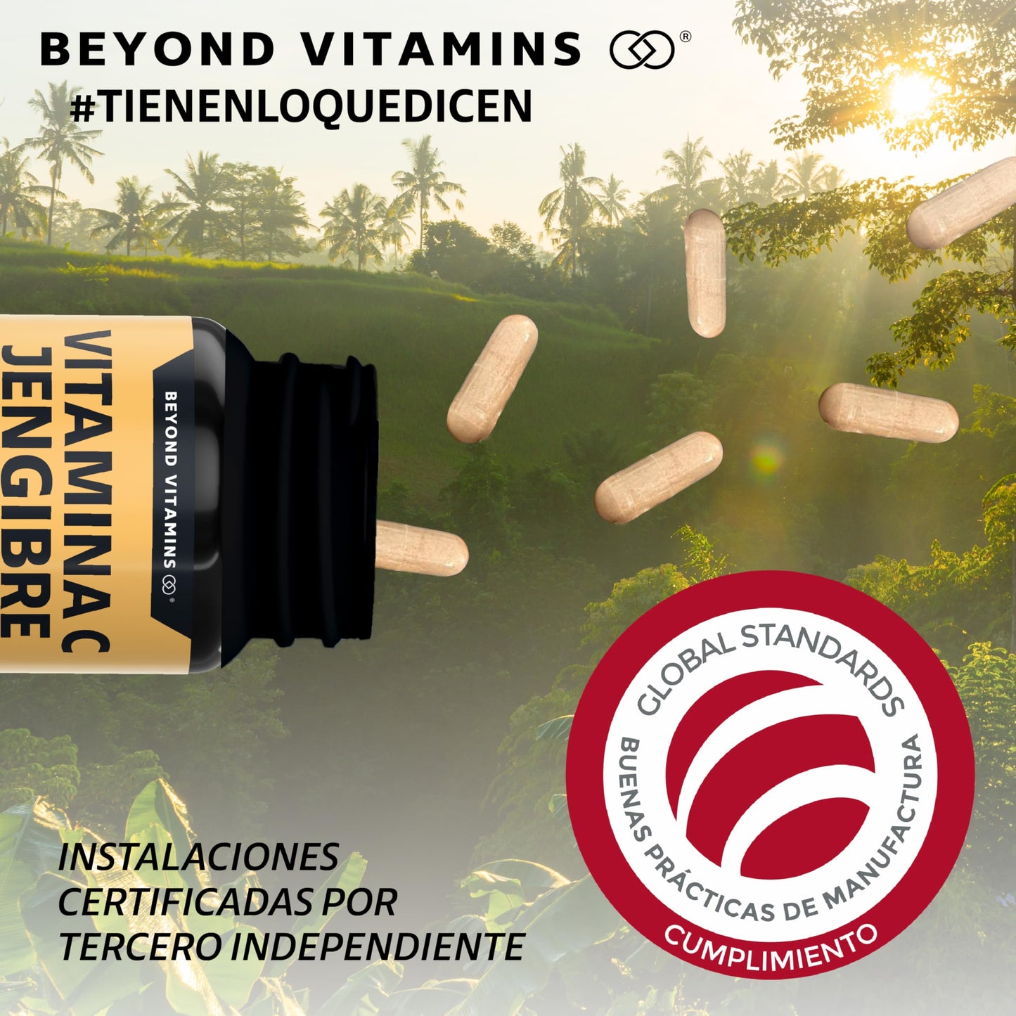 Beyond Vitamins | Vitamina C potenciada con antioxidantes y anti-inflamatorios, Jengibre, Equinácea, Ajo, Orégano, Zinc y Vitamina D3, Cápsulas veganas (60 Cápsulas)