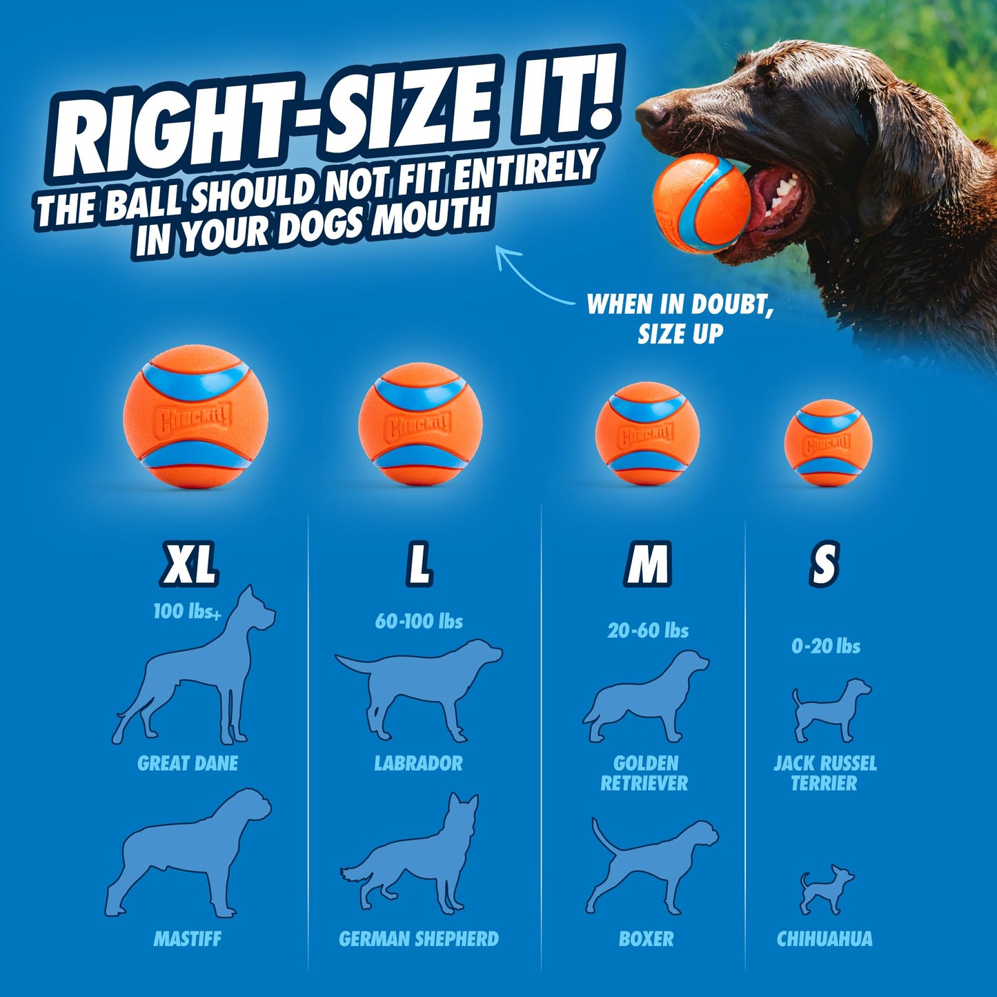 Chuckit! Fetch Ball Medley, Mediano, Bola para Perro, Paquete de 3, Bolas Ultra, Fetch y Resistentes Incluidas
