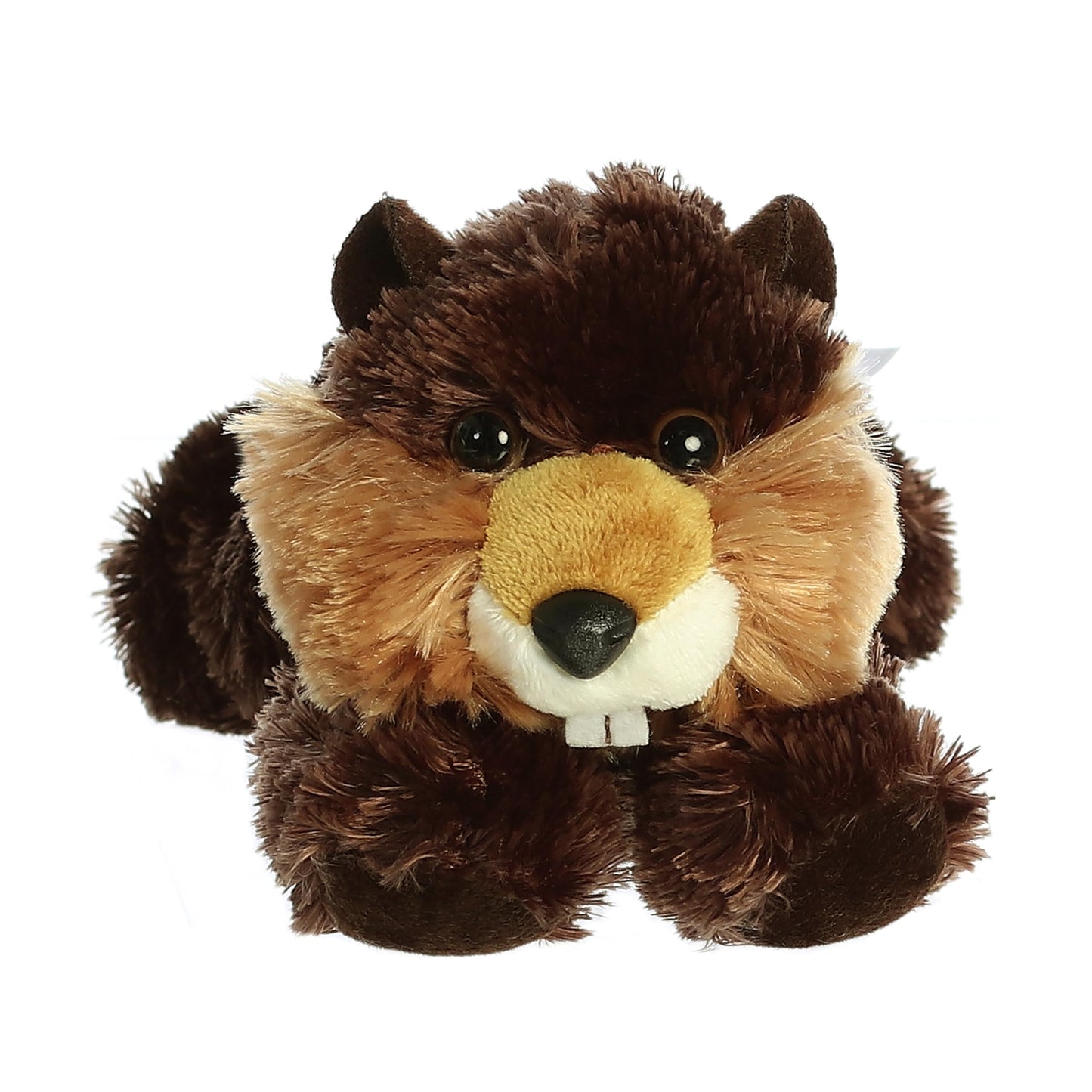Aurora World Plush - Mini Flopsie - BUILDER the Beaver (8 inch) by Aurora