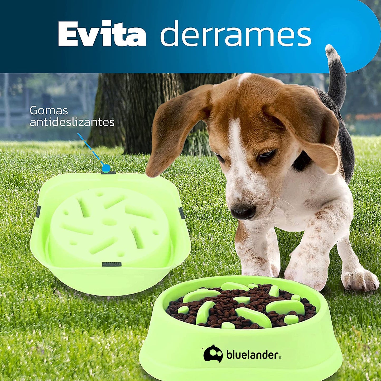 Bluelander Plato para Perro con Alimentación Lenta para Todo Tipo de Razas y Tamaños, Antideslizante, Evita Asfixia e Hinchazón, No Tóxico, Diseño Divertido, Ecológico y Fácil de Lavar (Verde)