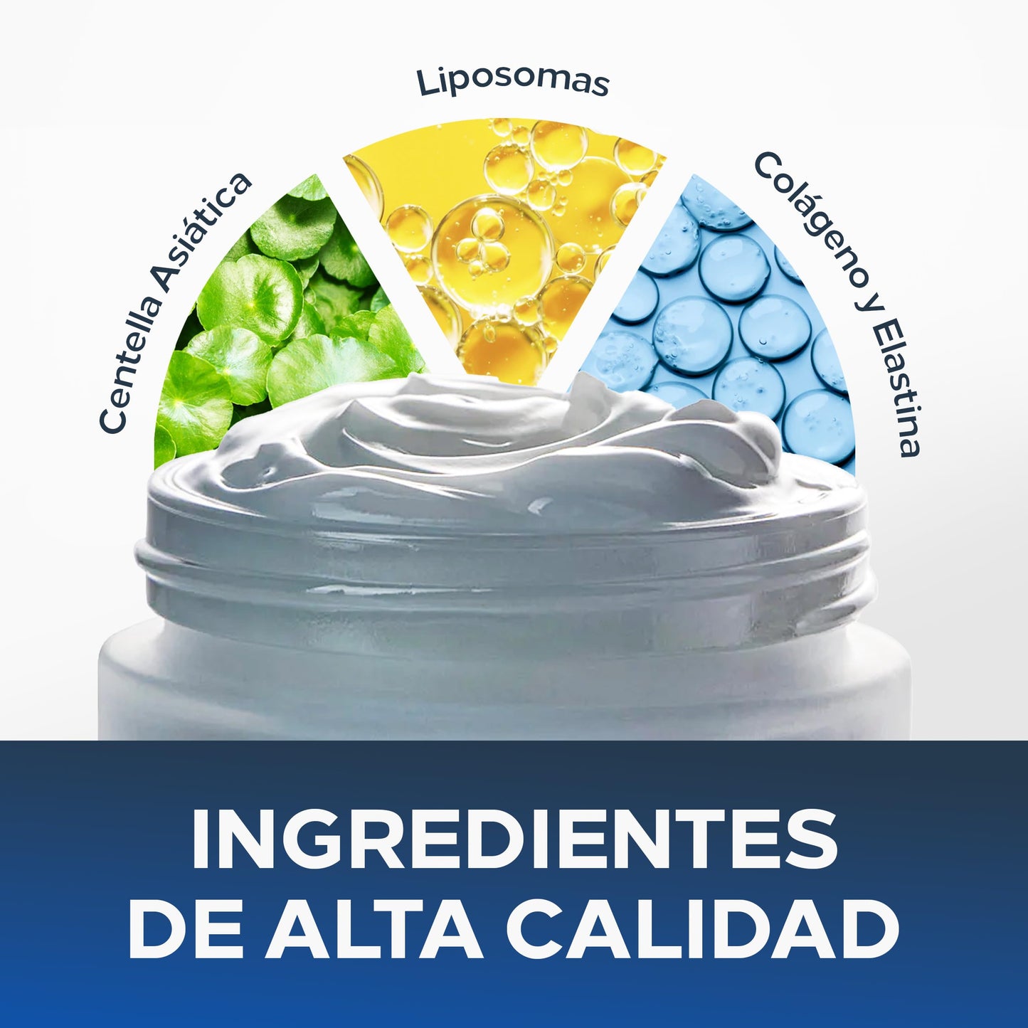 Crema Hidratante Facial CENTELLA LIFT & FIRM | Con Nanopartículas de Centella Asiática y Liposomas - 50g | Sin Aroma | Hidratante Ideal para Todo Tipo de Piel - Skin care Diario | ALBERÚ ET FILS
