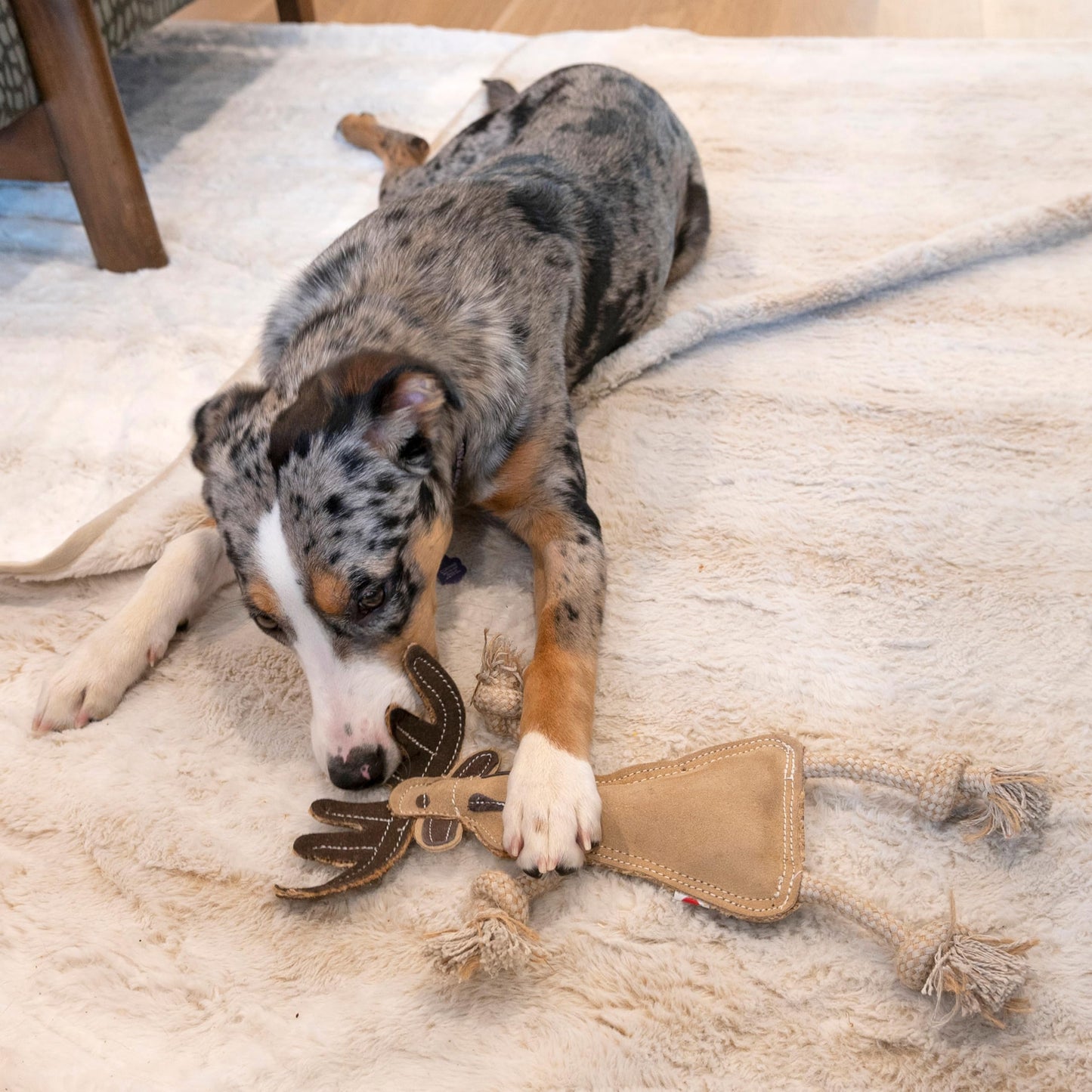 Ethical Pets Dura-Fused - Peluche de Animales del Bosque para Perro, 14 Pulgadas, 1 Pieza, el Estilo Puede Variar