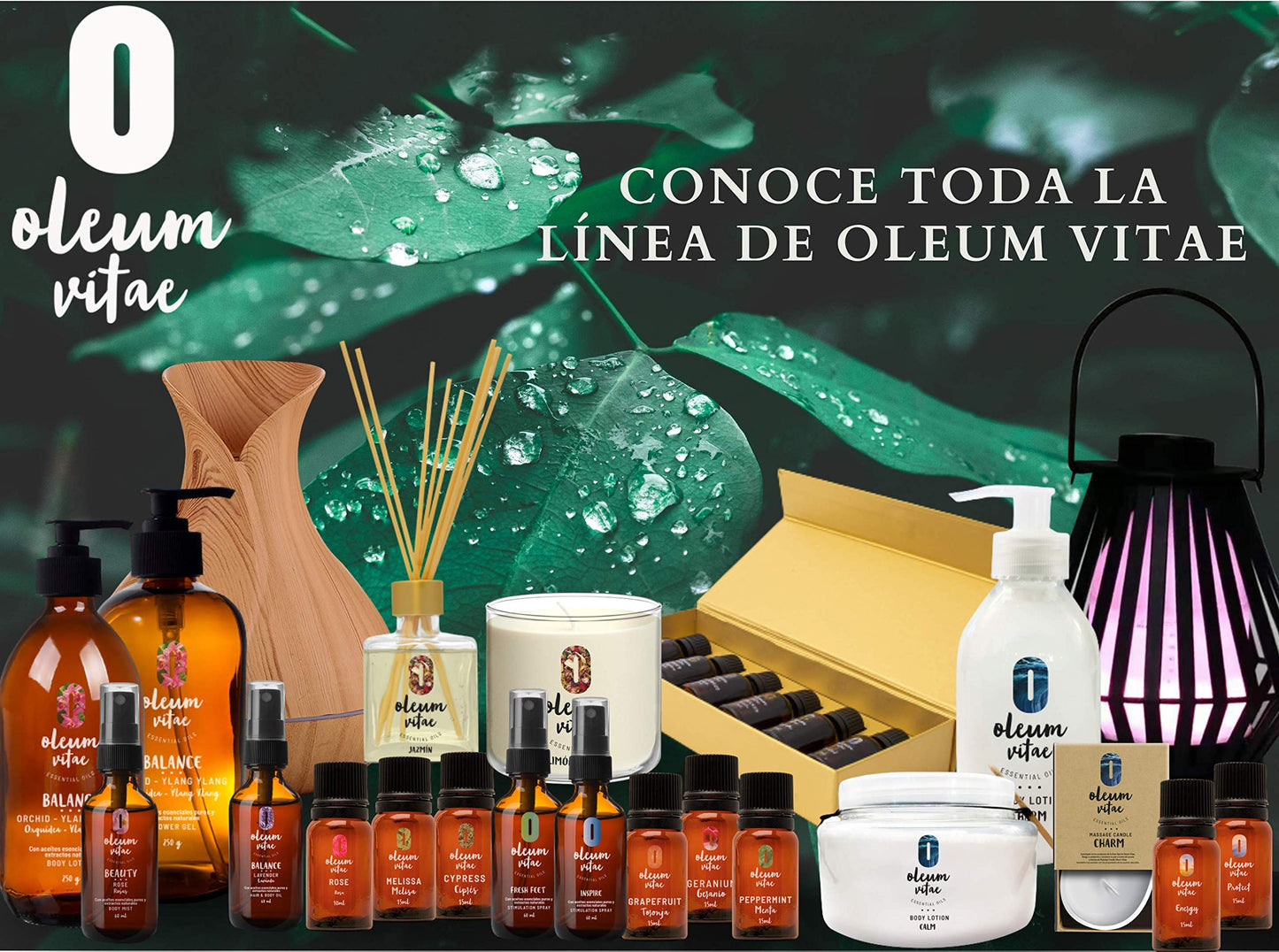 OLEUM VITAE Hair & Body Oil. Aceite Hidratante para Cabello y Cuerpo Orquídea-Ylang Ylang. Con Aceite Esencial de Ylang Ylang. 60ml