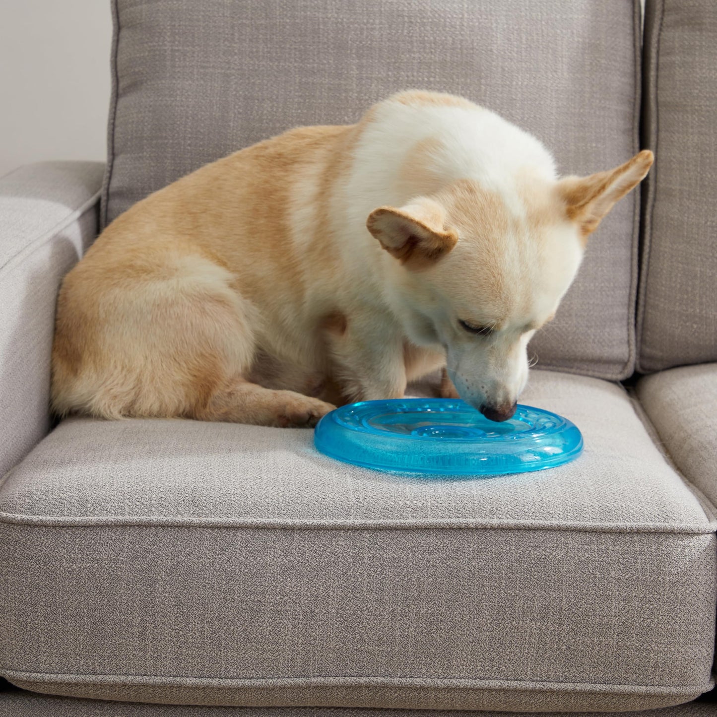 Disco Volador Orka Petstages Azul para Perros