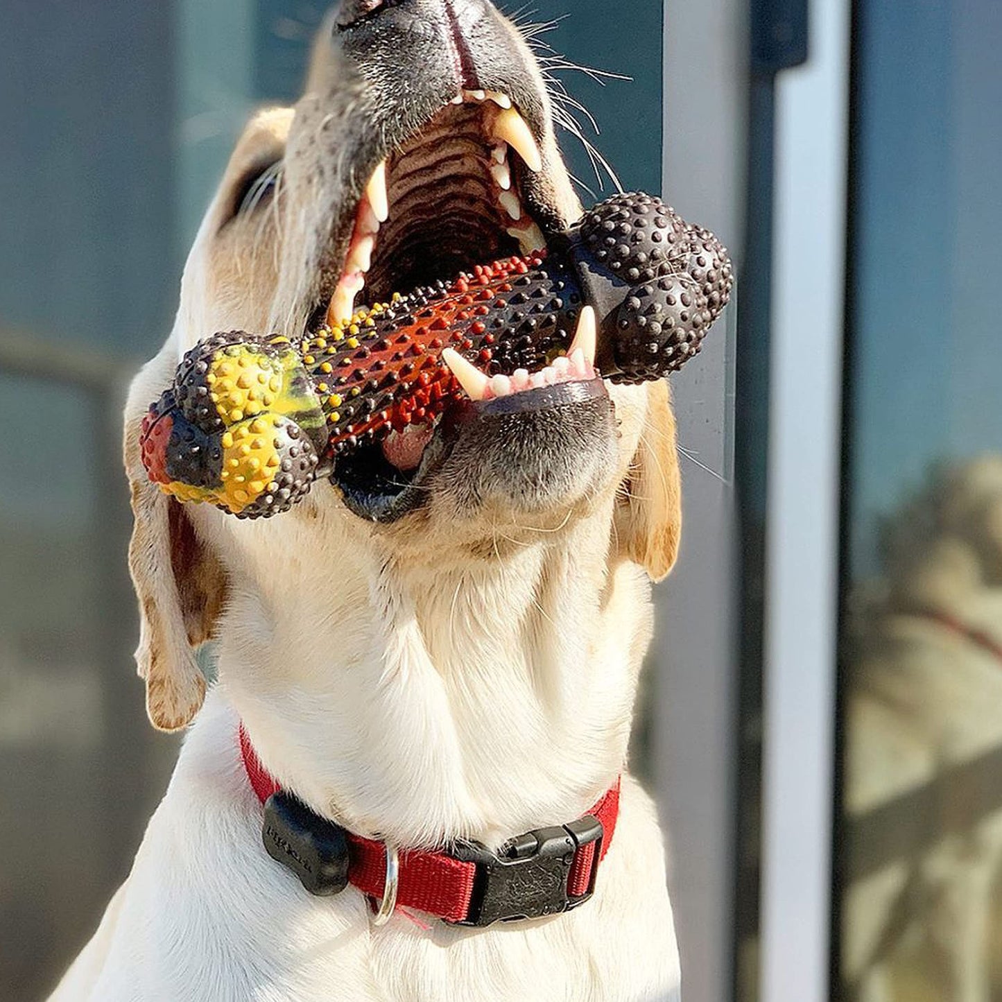 Juguete para Masticar Nylabone Sabor Cheeseburger de Tocino para Perro