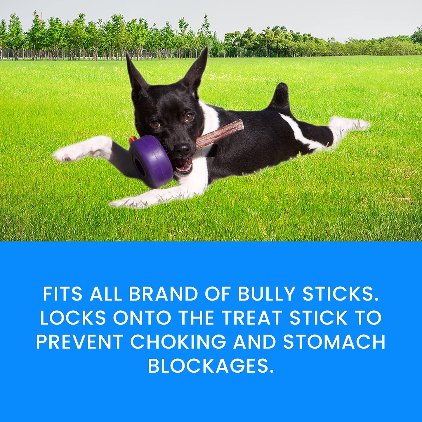 Bully Grip Bully Stick Holder Para Perros, Dispositivo De Seguridad Para Perros Bully Lok, Evita La Asfixia En Perros Pequeños, Medianos Y Grandes, Queso De Yak, Colágeno, Masticación Dental, Cuero Si