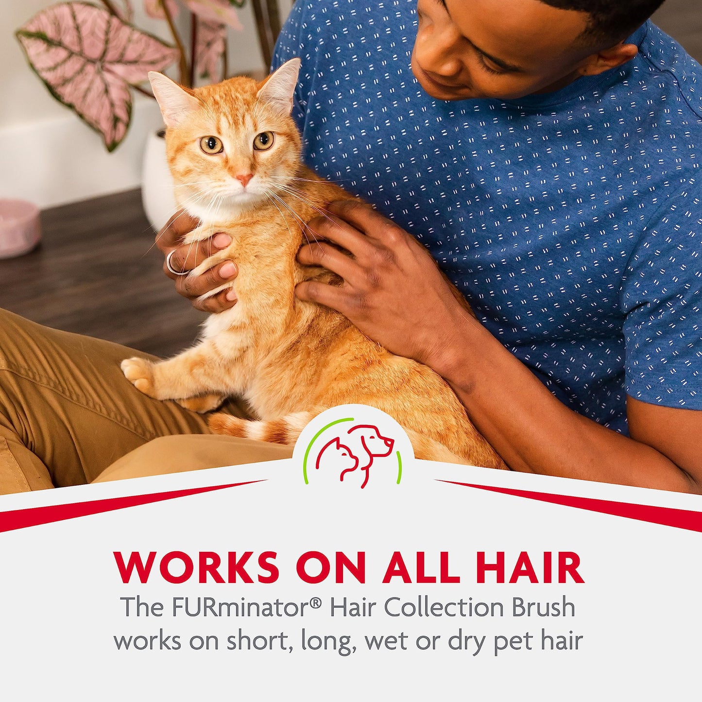 FURminator Hair Collection - cepillo para polvo de pelo gris, color puede variar