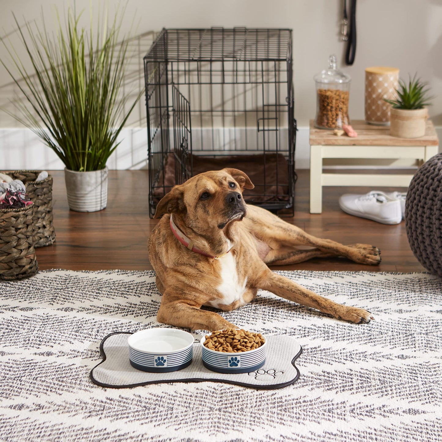 DII Bone Dry Paw Patch & Stripes Ceramic Pet Bowl for Food & Water with Non-Skid Silicone Rim for Dogs and Cats (Medium - 6" Dia x 2"H) Nautical Blue - Set of 2