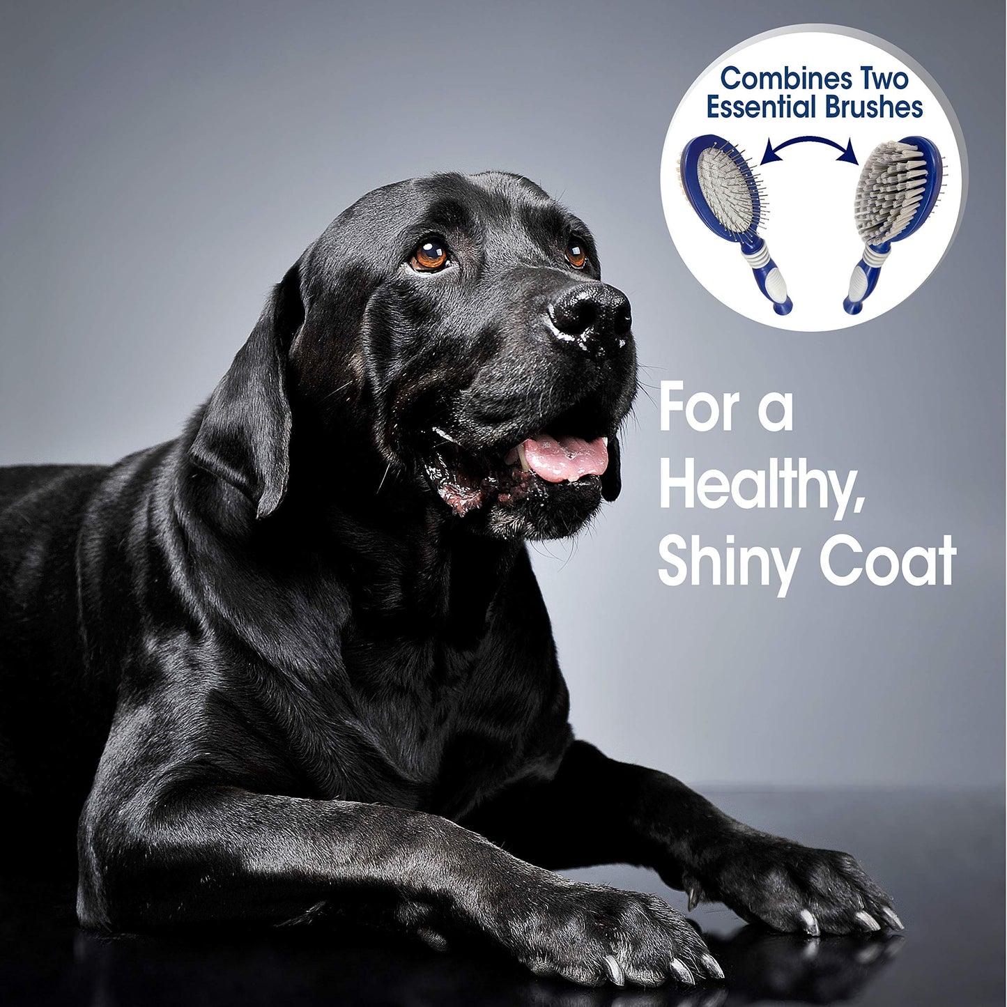 Four Paws Magic Coat Professional Series 2 en 1 Combo Pin y cepillo de cerdas para perro, talla única