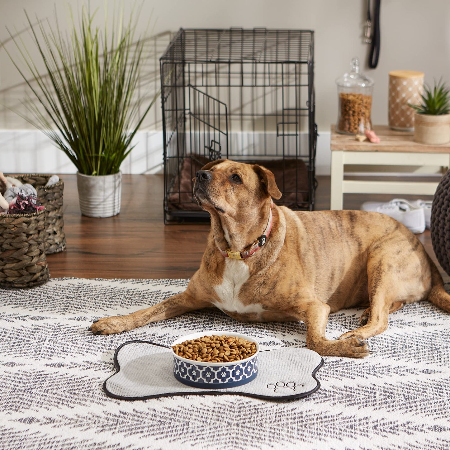 DII Bone Dry Lattice Ceramic Pet Bowl for Food & Water with Non-Skid Silicone Rim for Dogs and Cats (Large - 7.5" Dia x 4"H) Nautical Blue