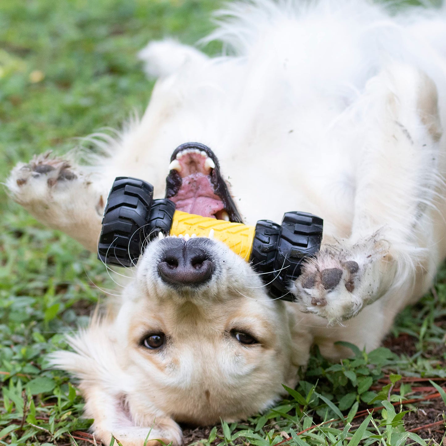 Juguete para Perros Tonka Amarillo Negro con Alimentador Interactivo para Razas Medianas y Grandes