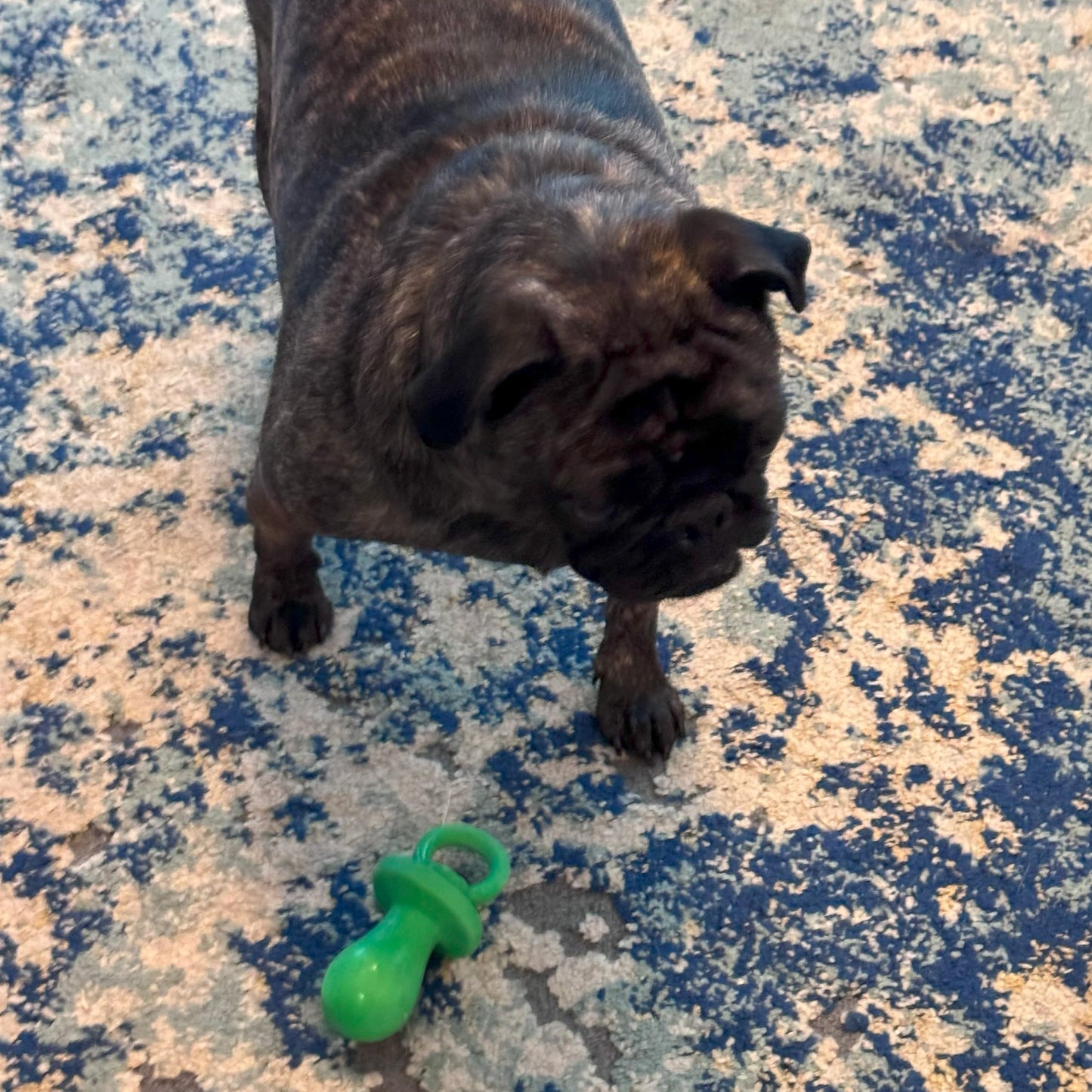 Chupete para perro de látex de 10 cm, los colores pueden variar
