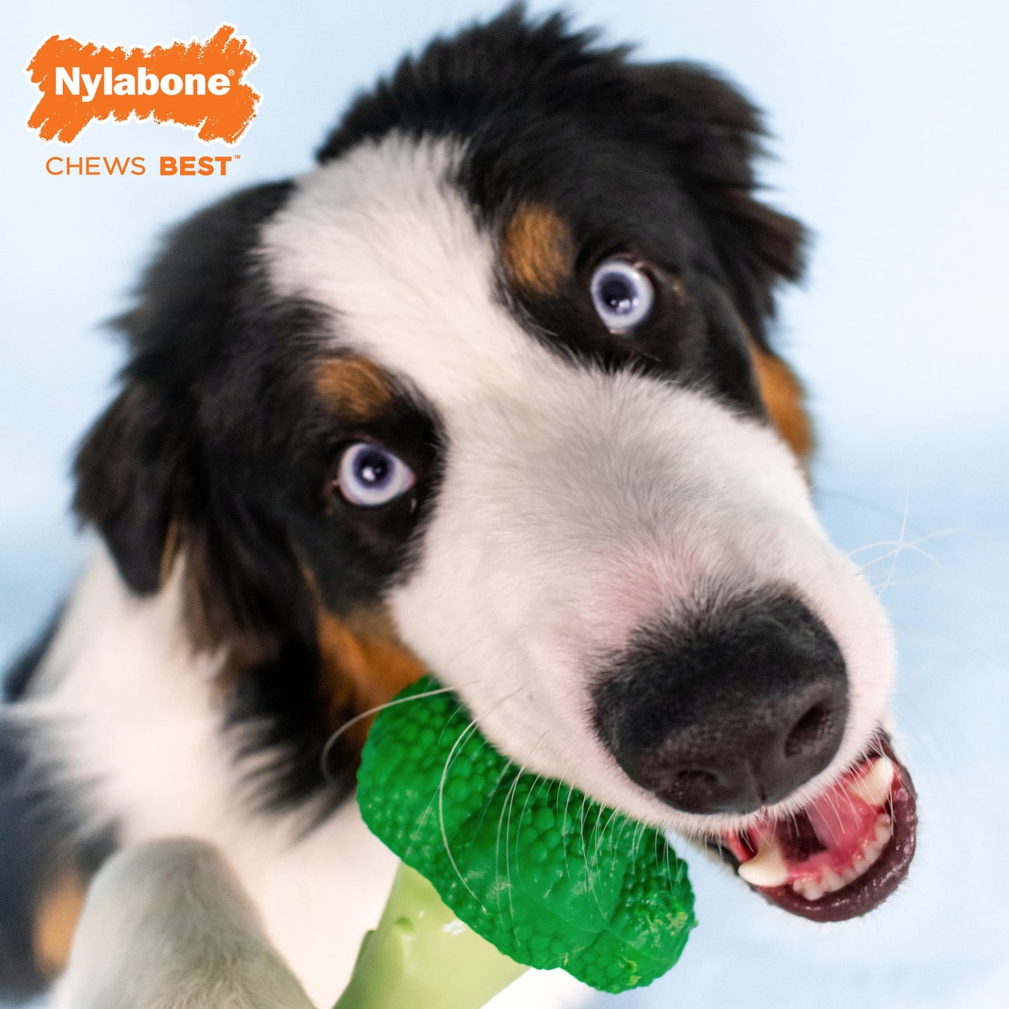 Juguete para Perros Nylabone Brócoli Sabor Tocino y Queso para Masticadores Agresivos Grande Gigante