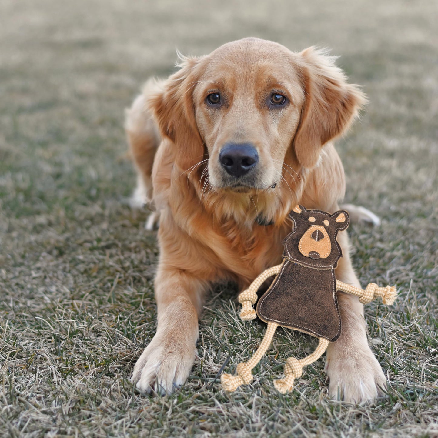 Ethical Pets Dura-Fused - Peluche de Animales del Bosque para Perro, 14 Pulgadas, 1 Pieza, el Estilo Puede Variar