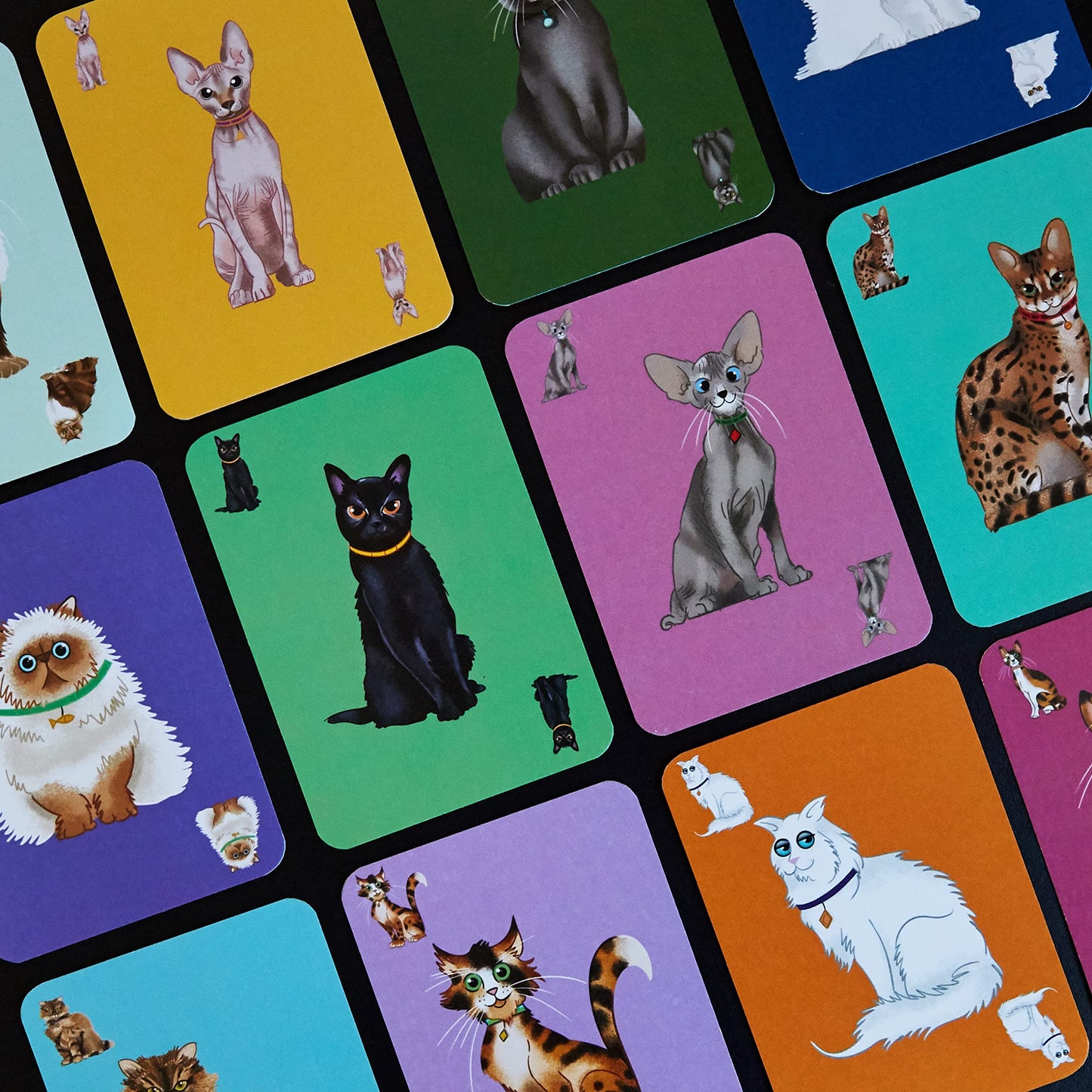 Clarendon Games Gatos de pastoreo