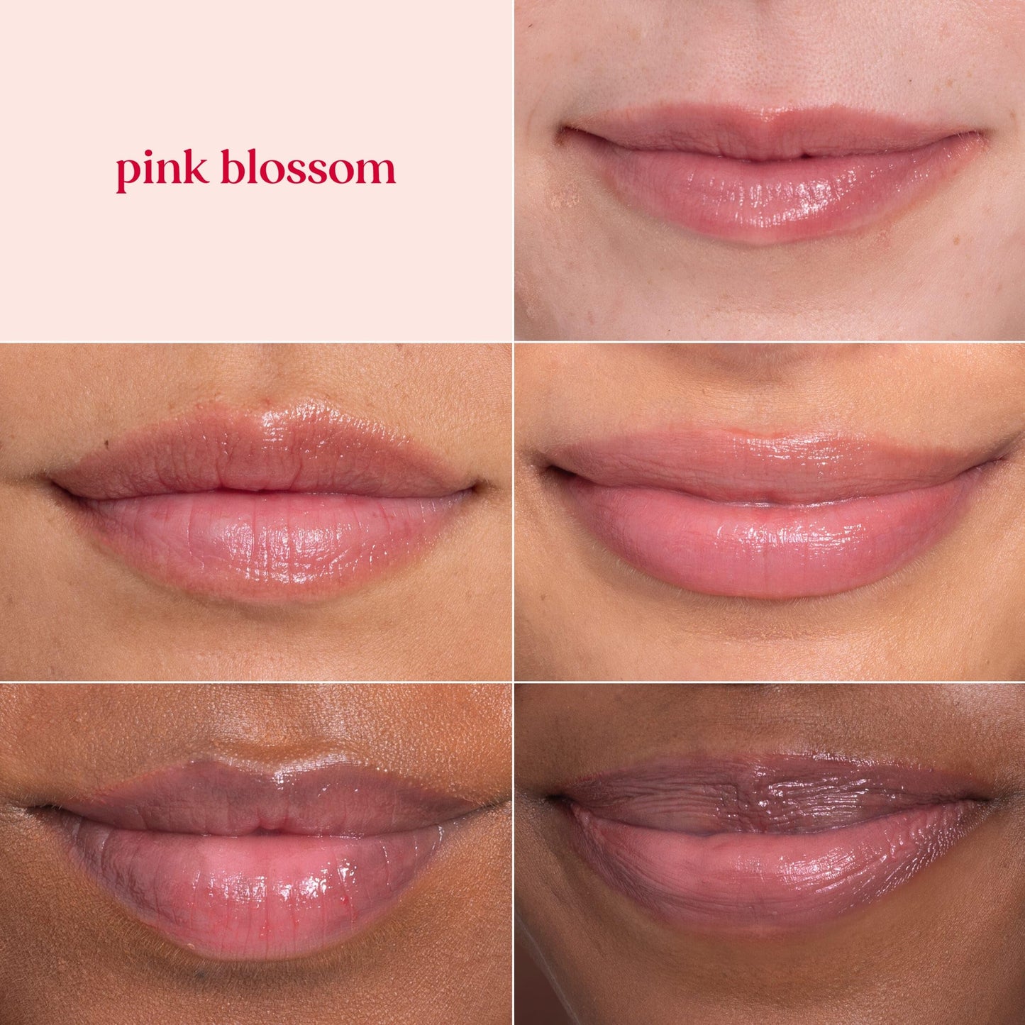 Bálsamo labial tintado natural Burt's Bees, Pink Blossom, 2 unidades