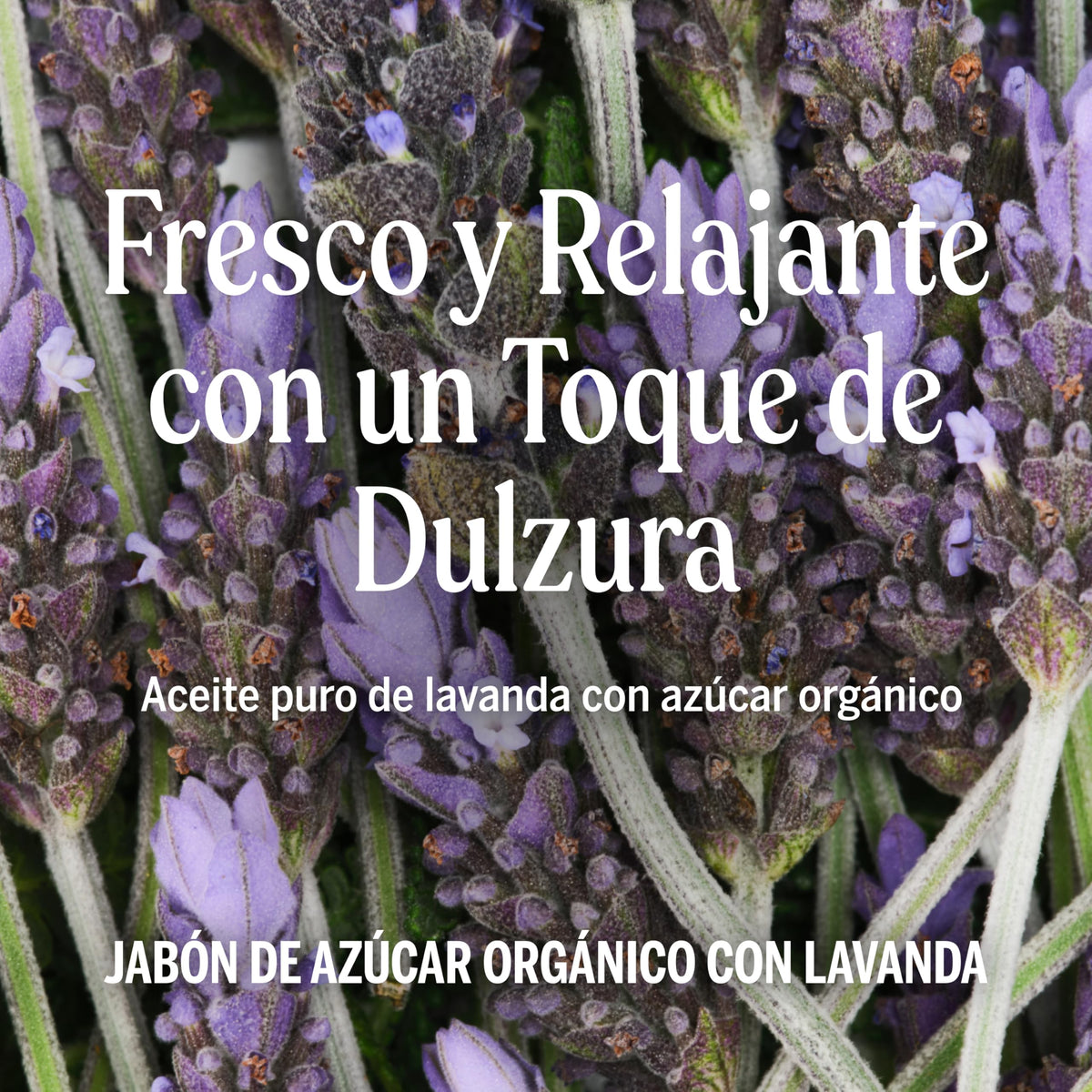 Dr. Bronner's | Jabón de azúcar orgánico líquido, fórmula hidratante y vegana para manos, cuerpo y rostro - Lavanda, 355 ml